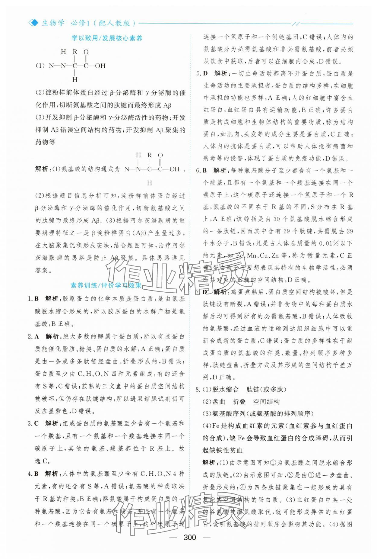 2025年新课程学习与测评高中生物必修1人教版&nbsp;参考答案第11页