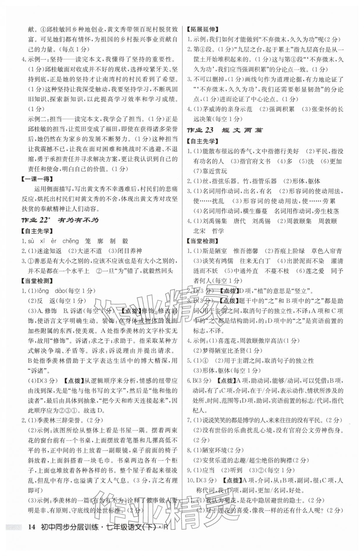 2026年同步分层训练七年级语文下册人教版&nbsp;第14页