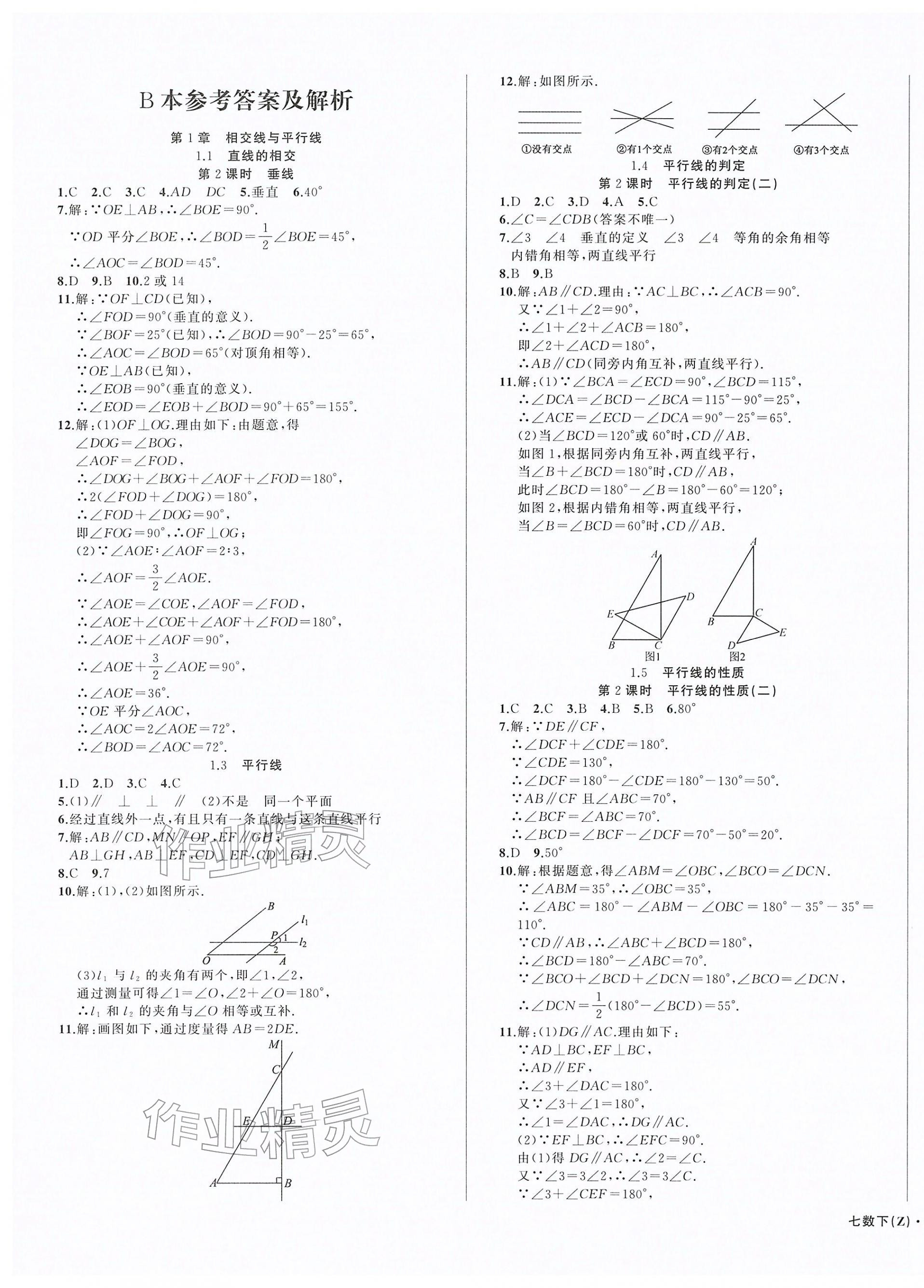 2026年名师面对面同步作业本七年级数学下册浙教版浙江专版&nbsp;第11页