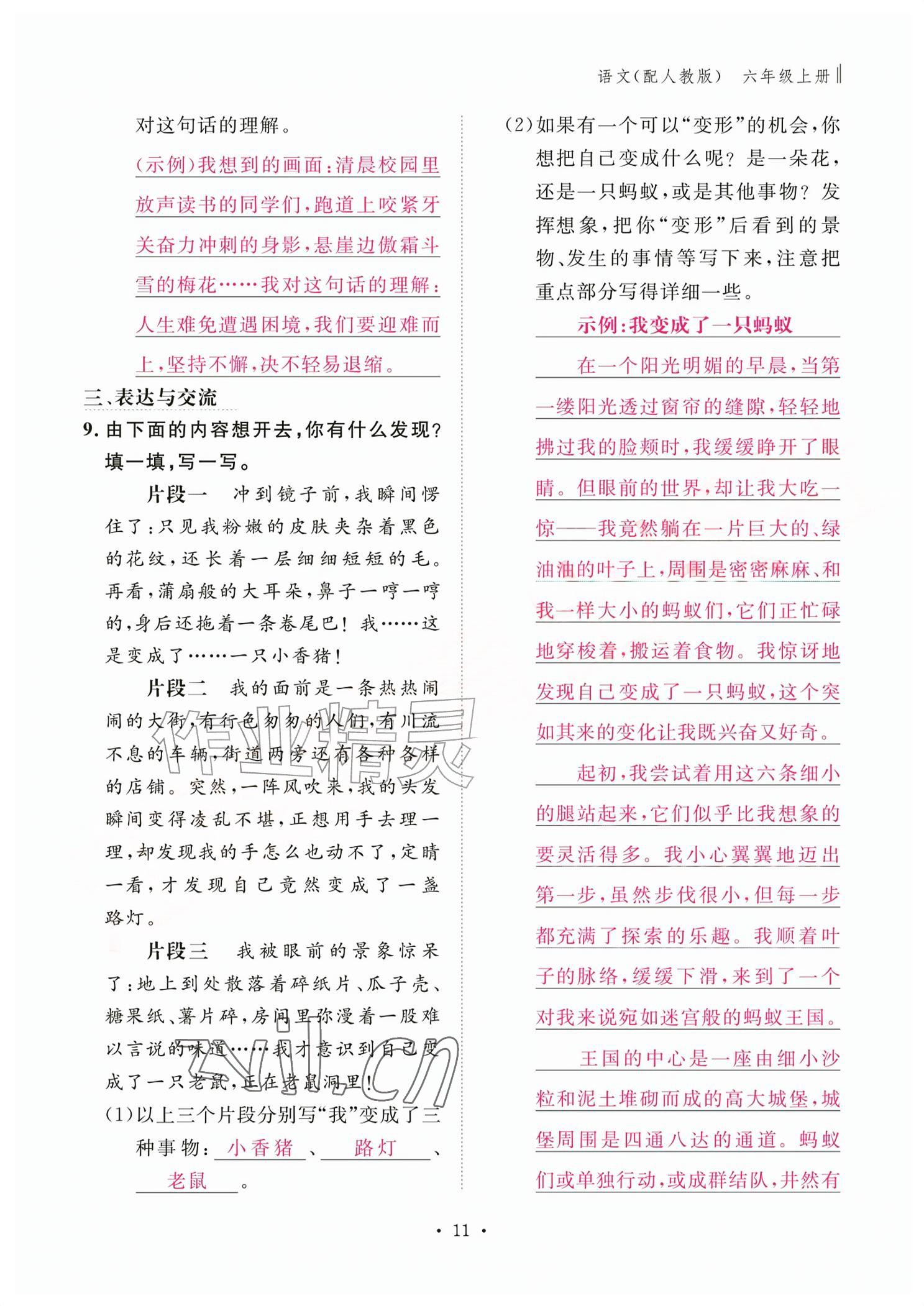 2026年作业本江西教育出版社六年级语文上册人教版&nbsp;参考答案第11页