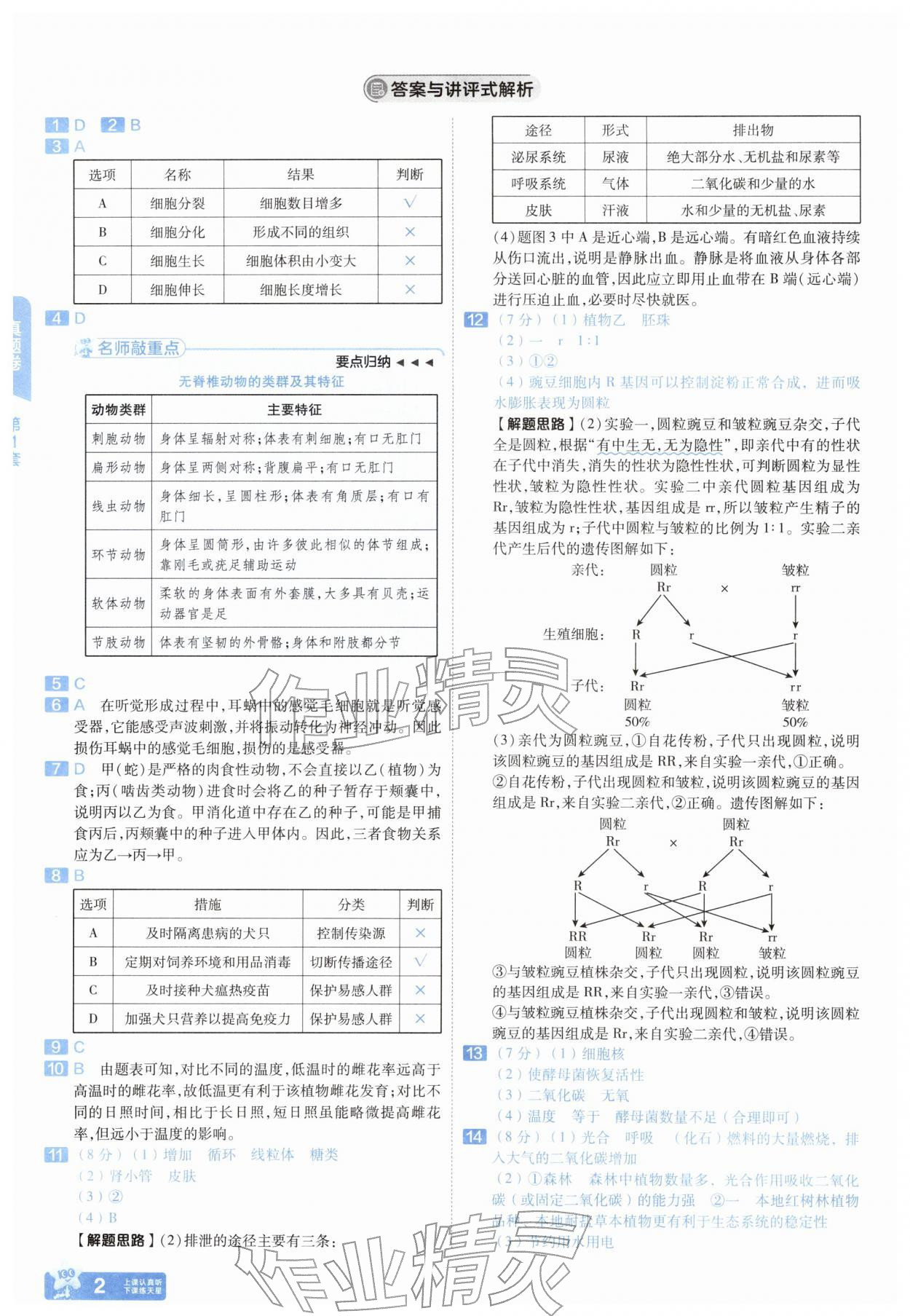 2026年金考卷45套汇编生物湖北专版&nbsp;第2页