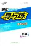 2024年初中同步學(xué)習(xí)導(dǎo)與練導(dǎo)學(xué)探究案九年級化學(xué)全一冊人教版