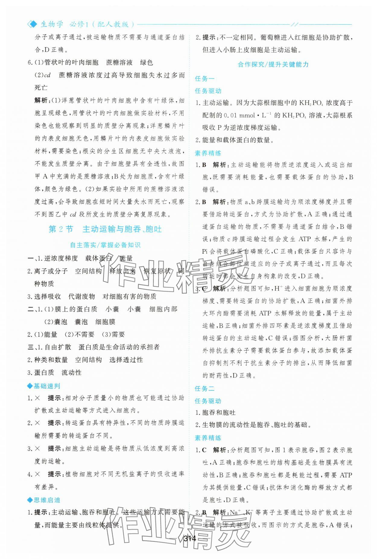 2025年新课程学习与测评高中生物必修1人教版&nbsp;参考答案第25页