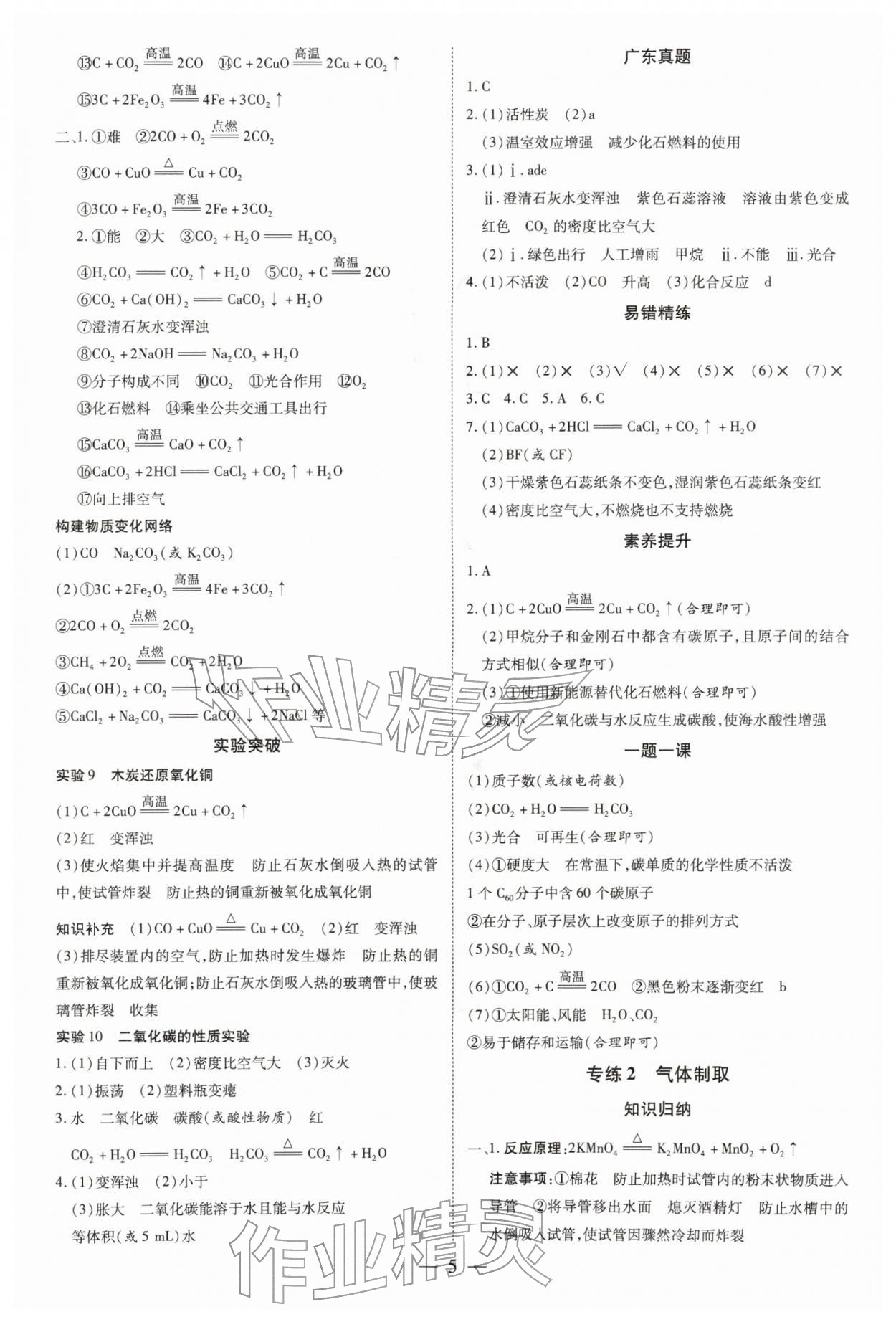 2026年领跑中考化学广东专版&nbsp;第5页