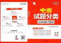 2024年天利38套中考試題分類化學中考山東專版