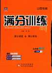 2024年滿分訓練設(shè)計九年級數(shù)學下冊人教版山西專版