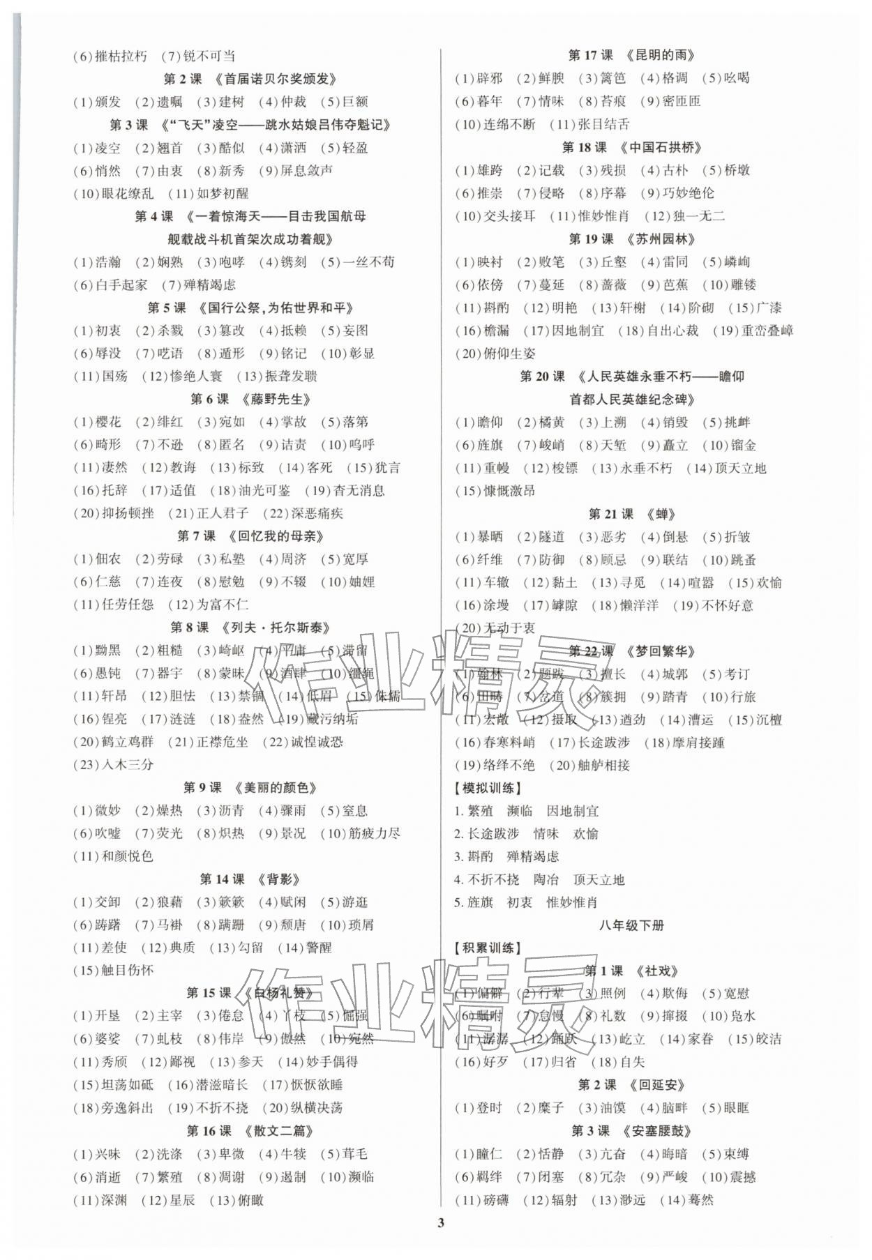 2026年初中新结构综合复习语文中考广东专版&nbsp;第5页