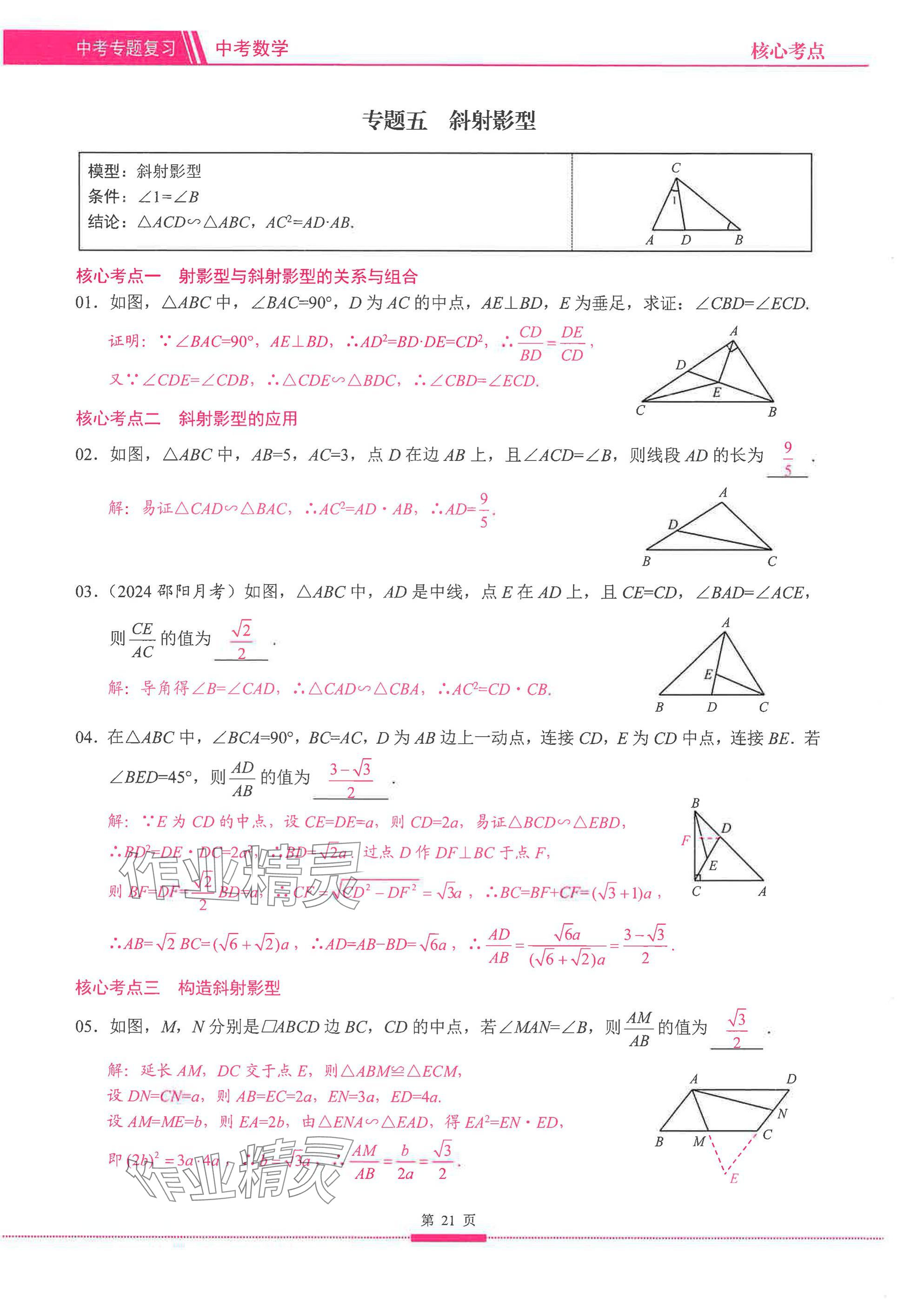 2025年名校学典核心考点延边大学出版社数学&nbsp;参考答案第21页