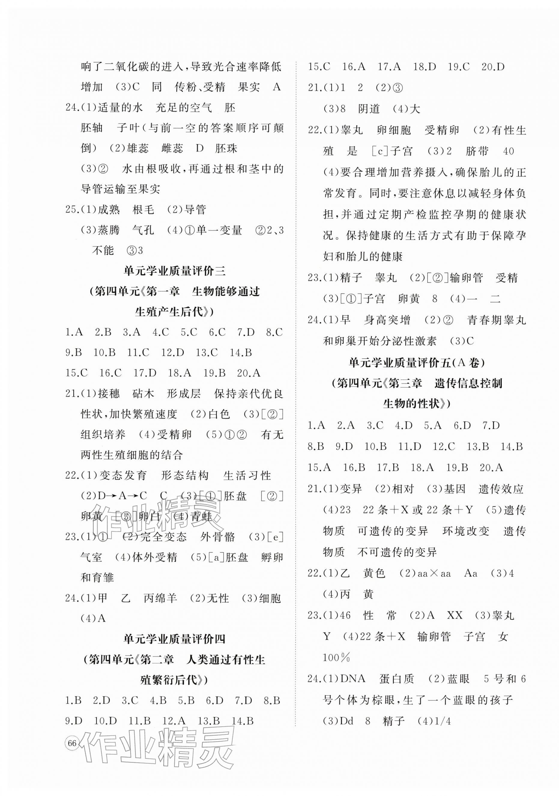 2026年精练课堂分层作业七年级生物下册济南版&nbsp;参考答案第3页