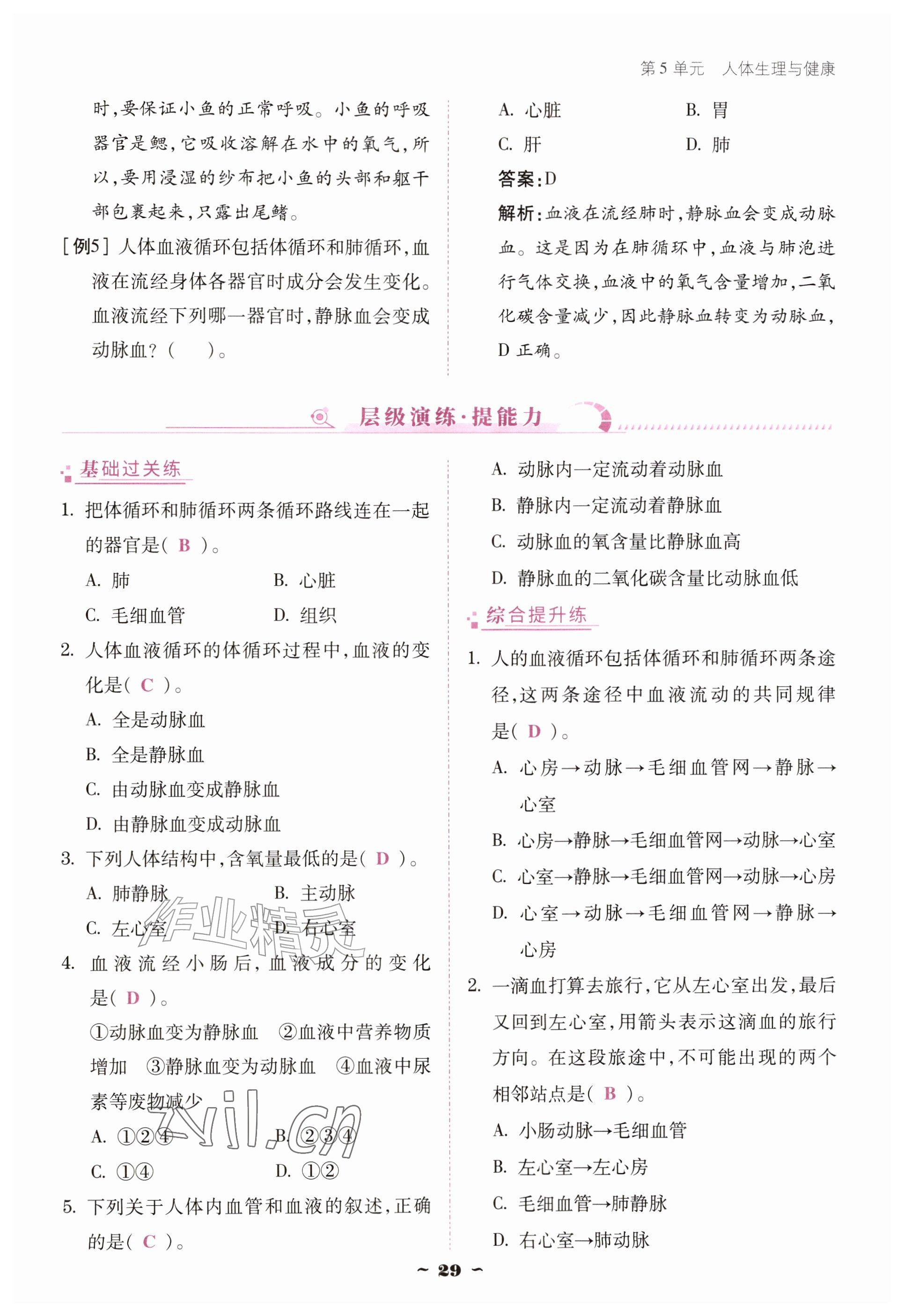 2026年优佳学案（云南）八年级生物上册苏教版&nbsp;参考答案第29页