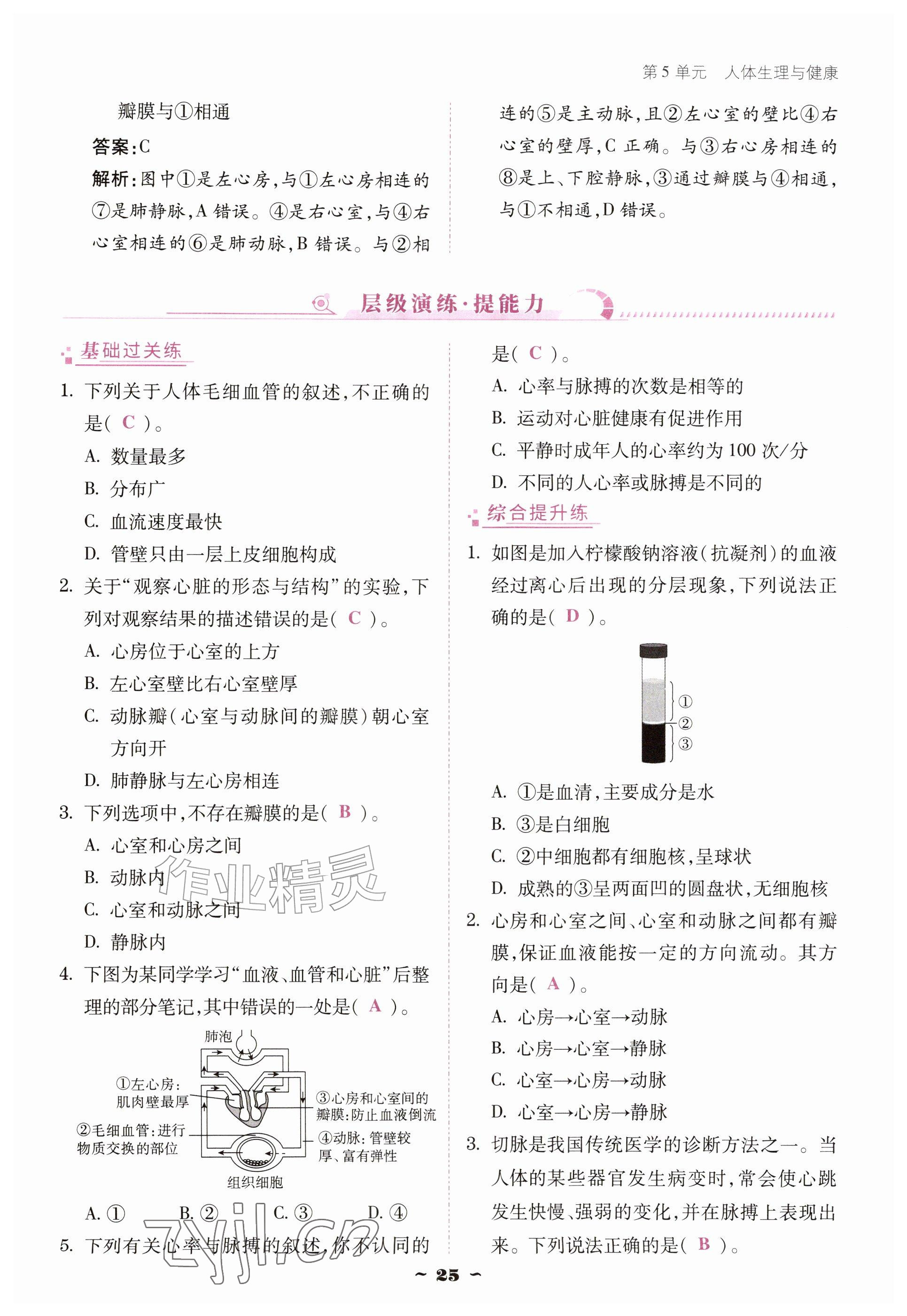 2026年优佳学案（云南）八年级生物上册苏教版&nbsp;参考答案第25页