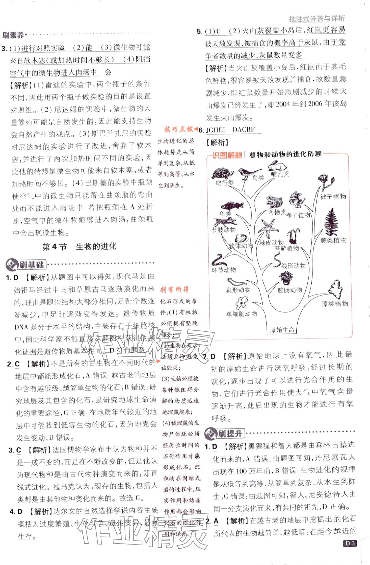 2024年初中必刷题九年级科学下册浙教版浙江专版&nbsp;第3页