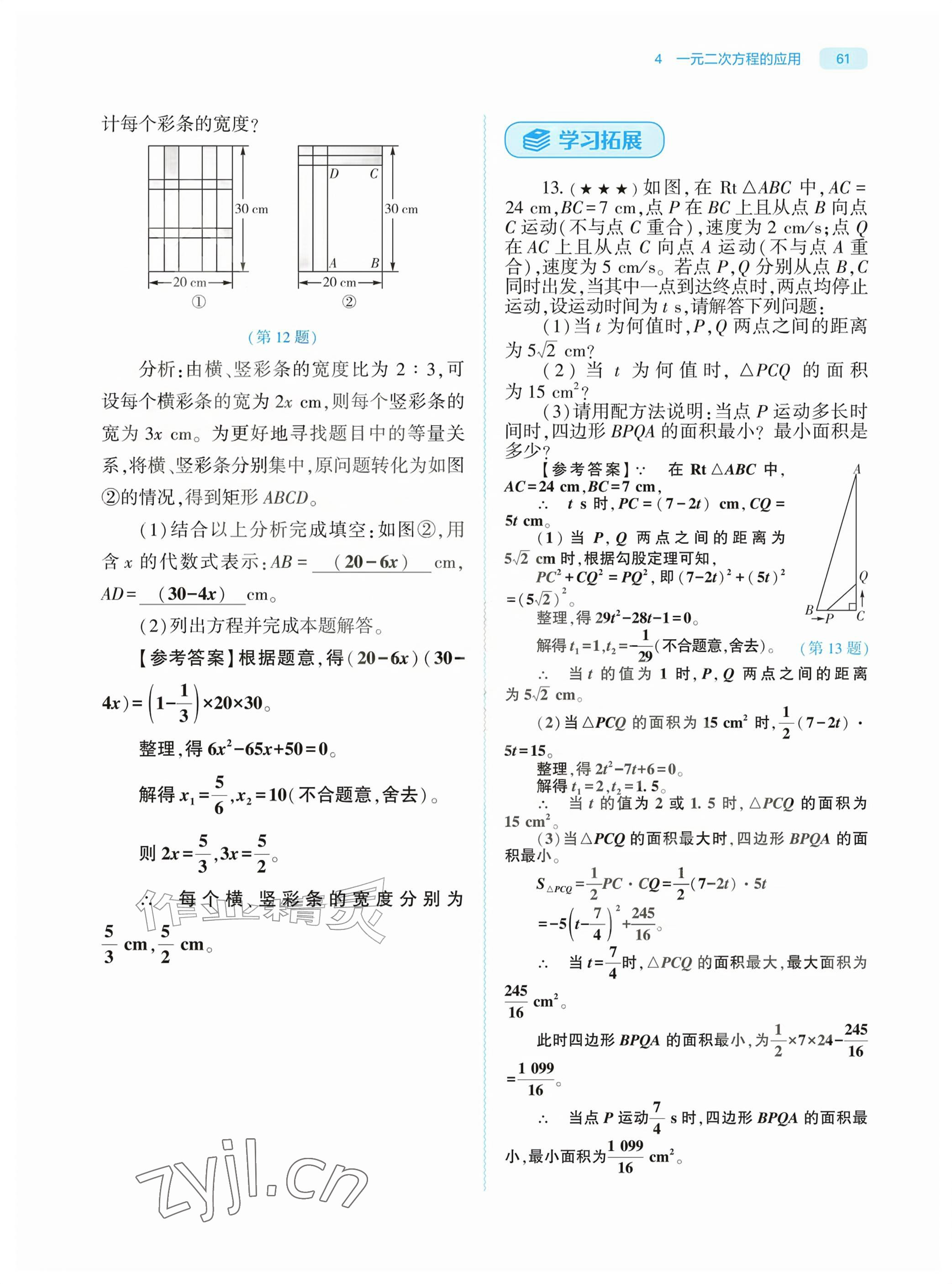 2026年基础训练大象出版社九年级数学上册北师大版&nbsp;参考答案第61页