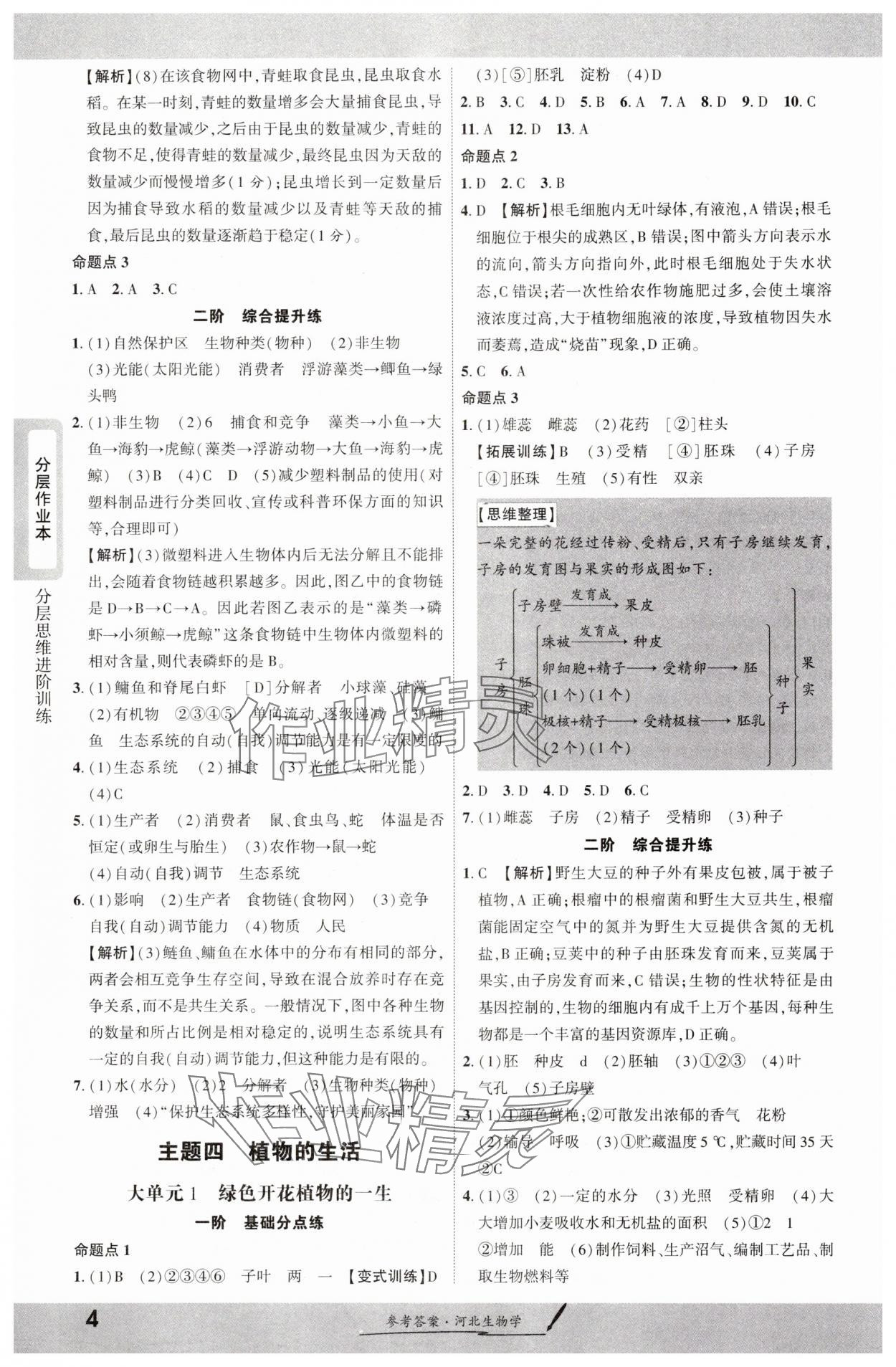 2025年一战成名新中考生物河北专版&nbsp;参考答案第3页