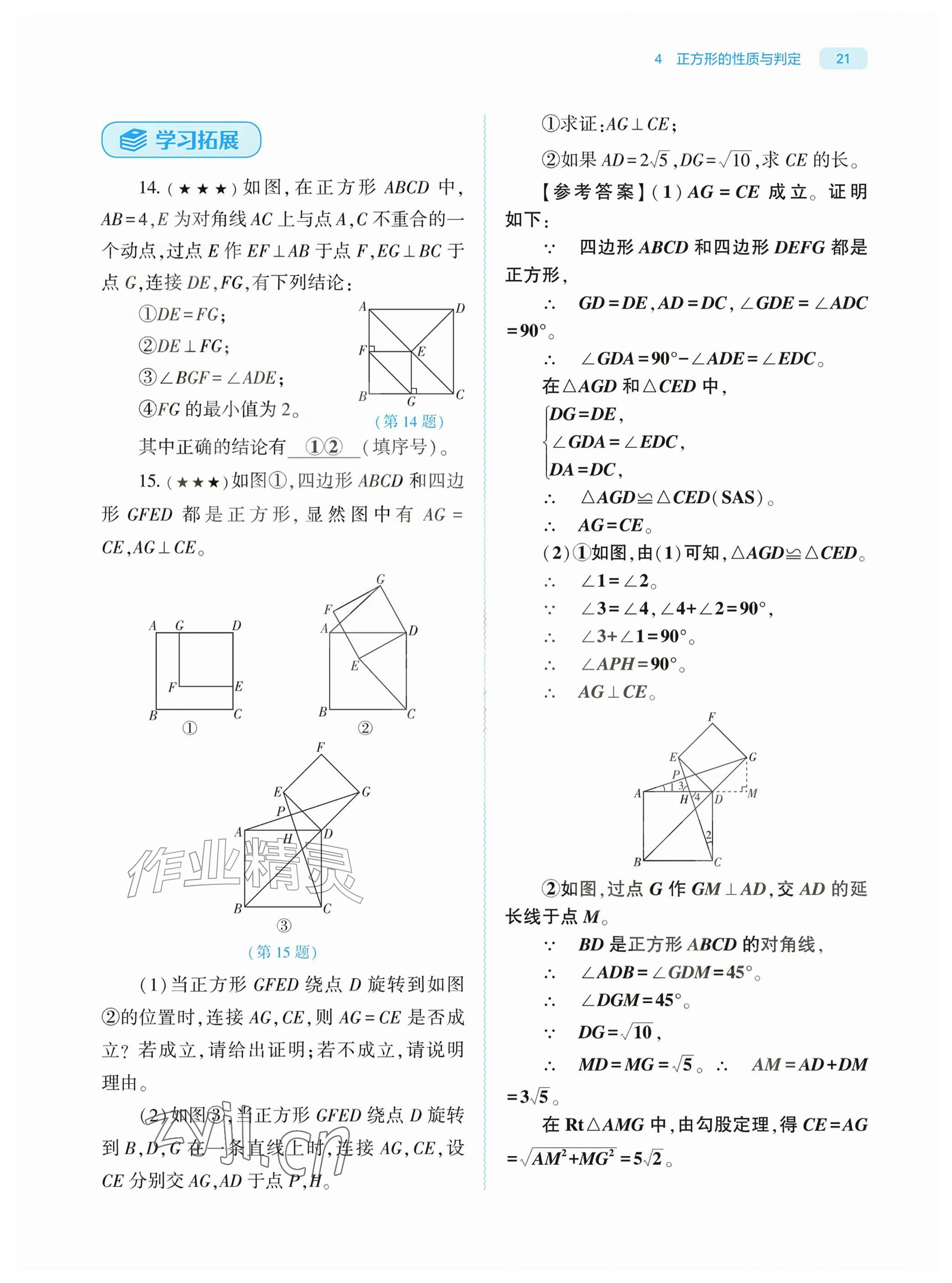 2026年基础训练大象出版社九年级数学上册北师大版&nbsp;参考答案第21页