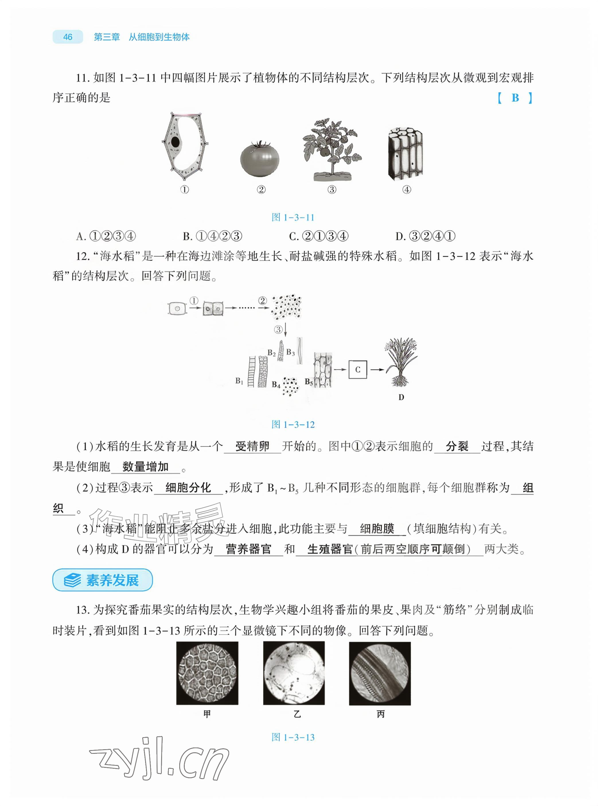 2026年基础训练大象出版社七年级生物上册人教版&nbsp;参考答案第46页