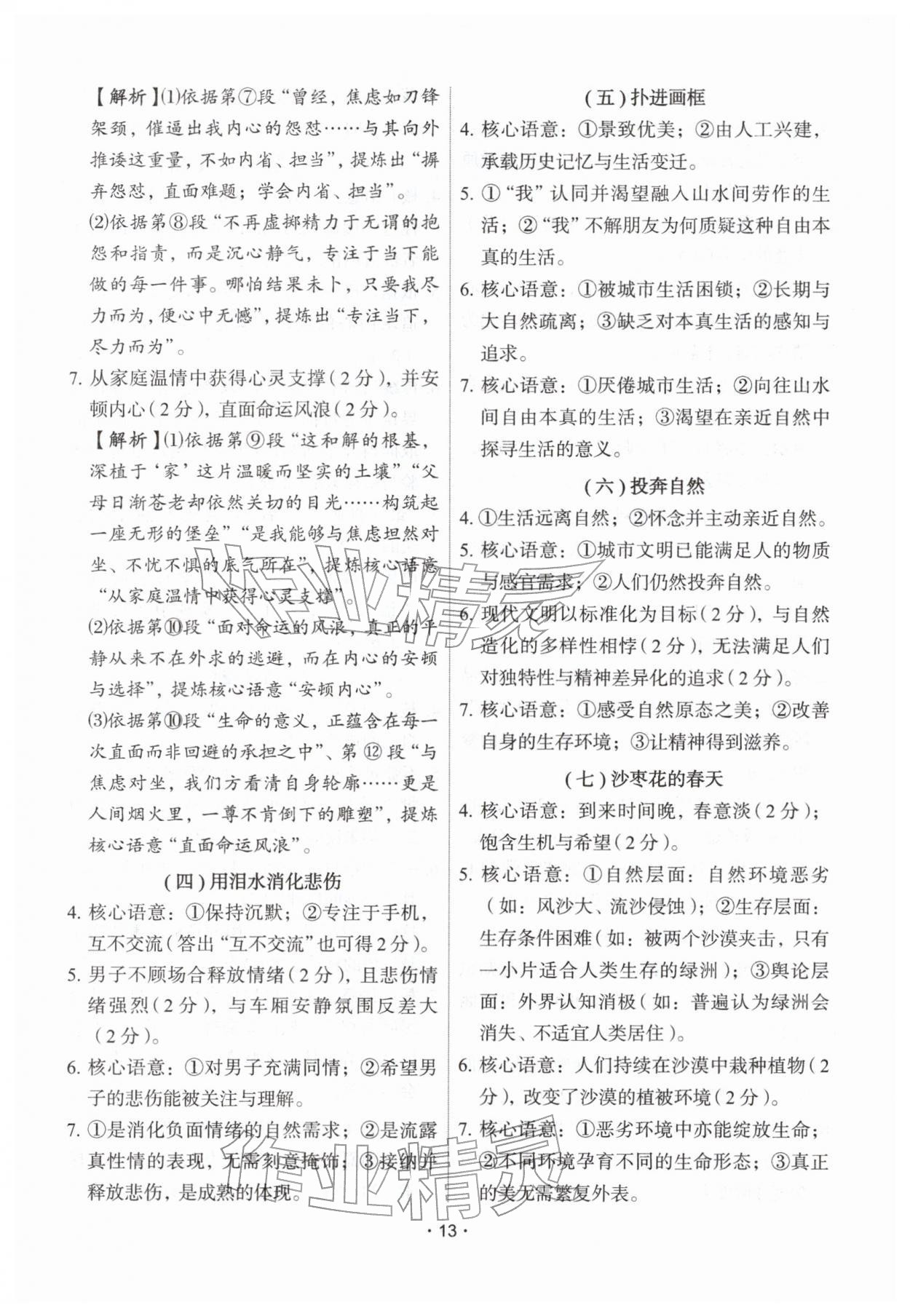 2026年天下中考专题总复习语文&nbsp;参考答案第13页