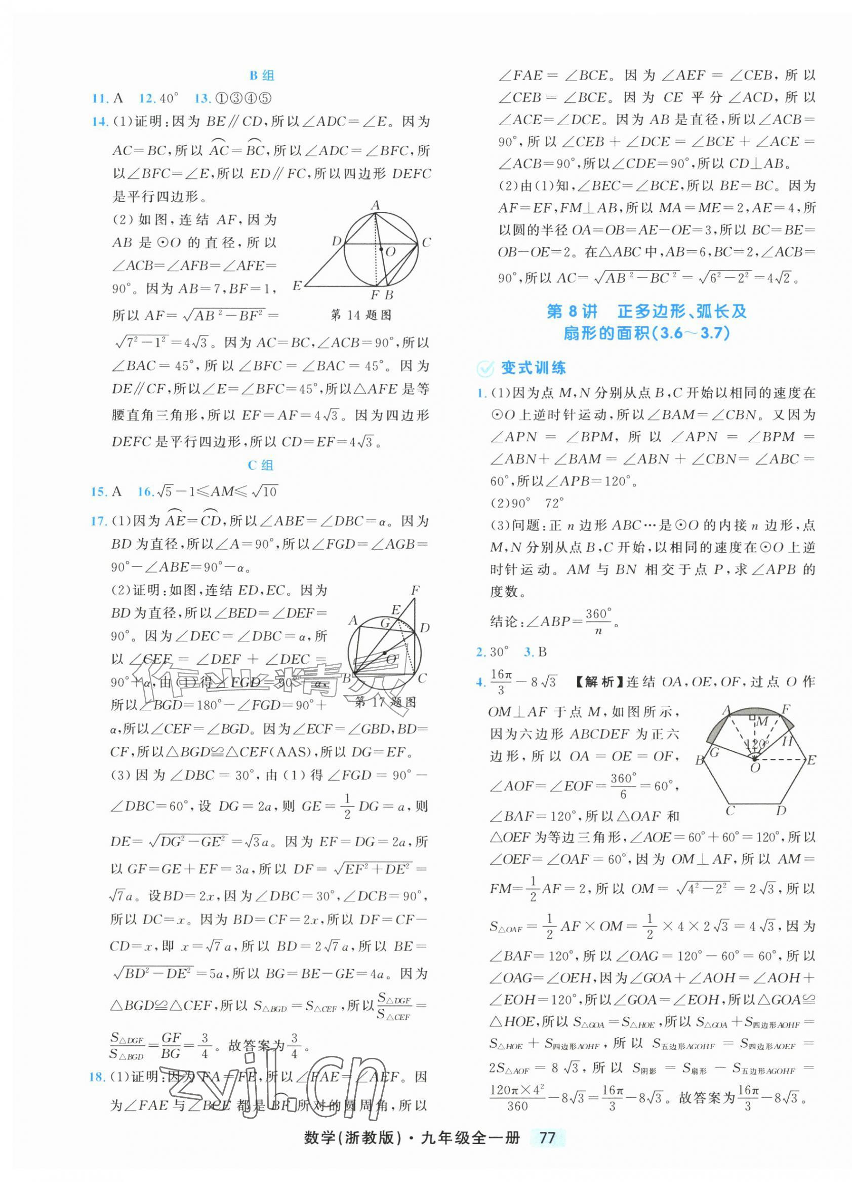 2026年励耘新培优九年级数学全一册浙教版&nbsp;第13页