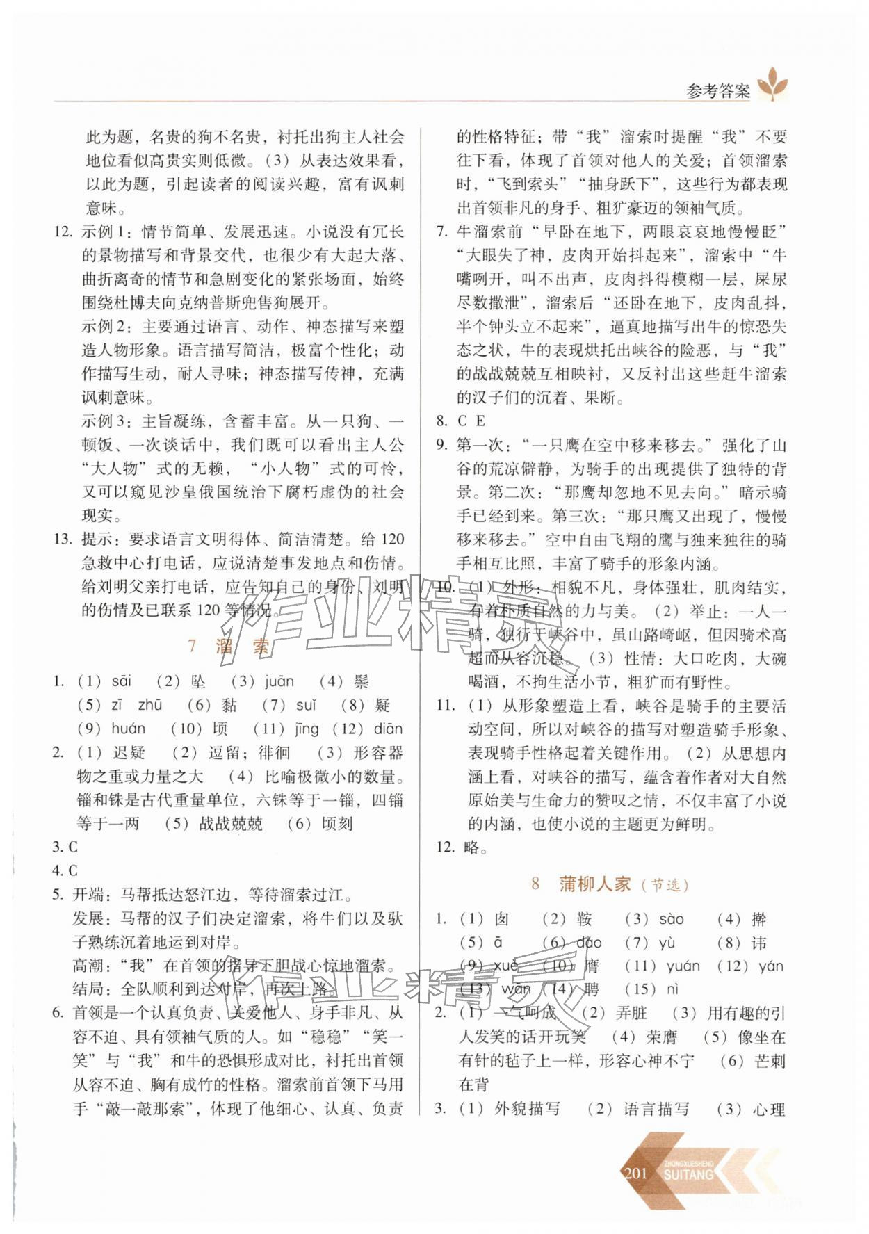 2026年随堂同步练习九年级语文下册人教版&nbsp;第5页