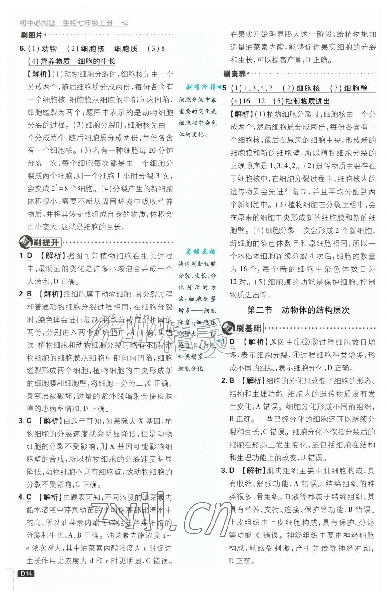 2026年初中必刷题七年级生物上册人教版&nbsp;第14页