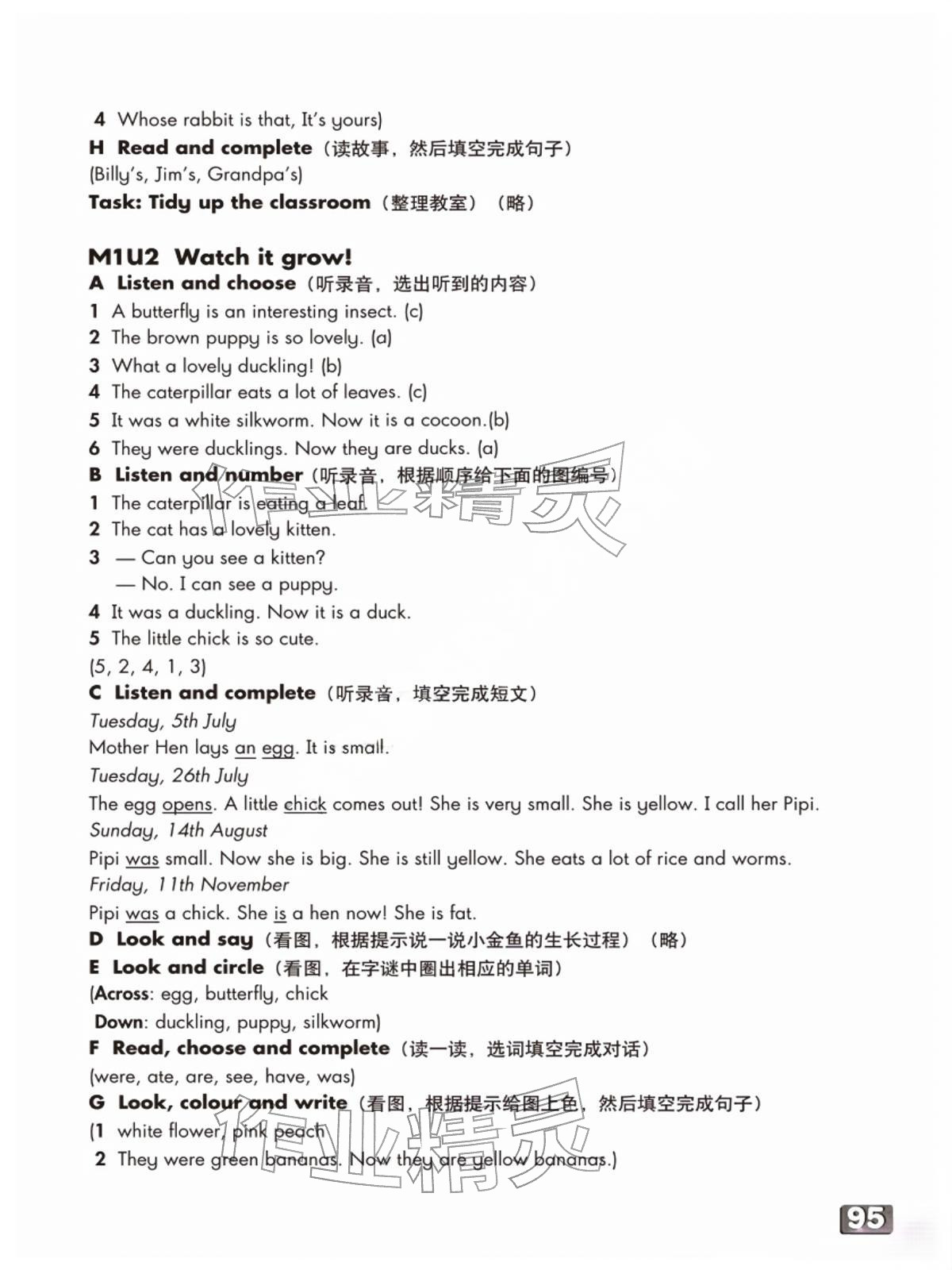 2026版练习部分五年级英语下册沪教版54制&nbsp;参考答案第2页