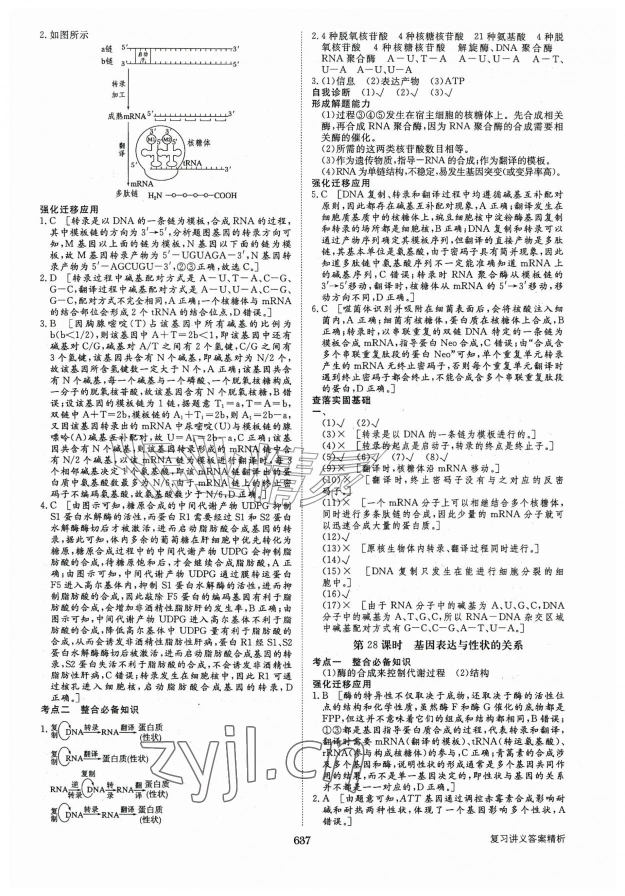 2026年步步高大一轮复习讲义高中生物人教版&nbsp;第29页