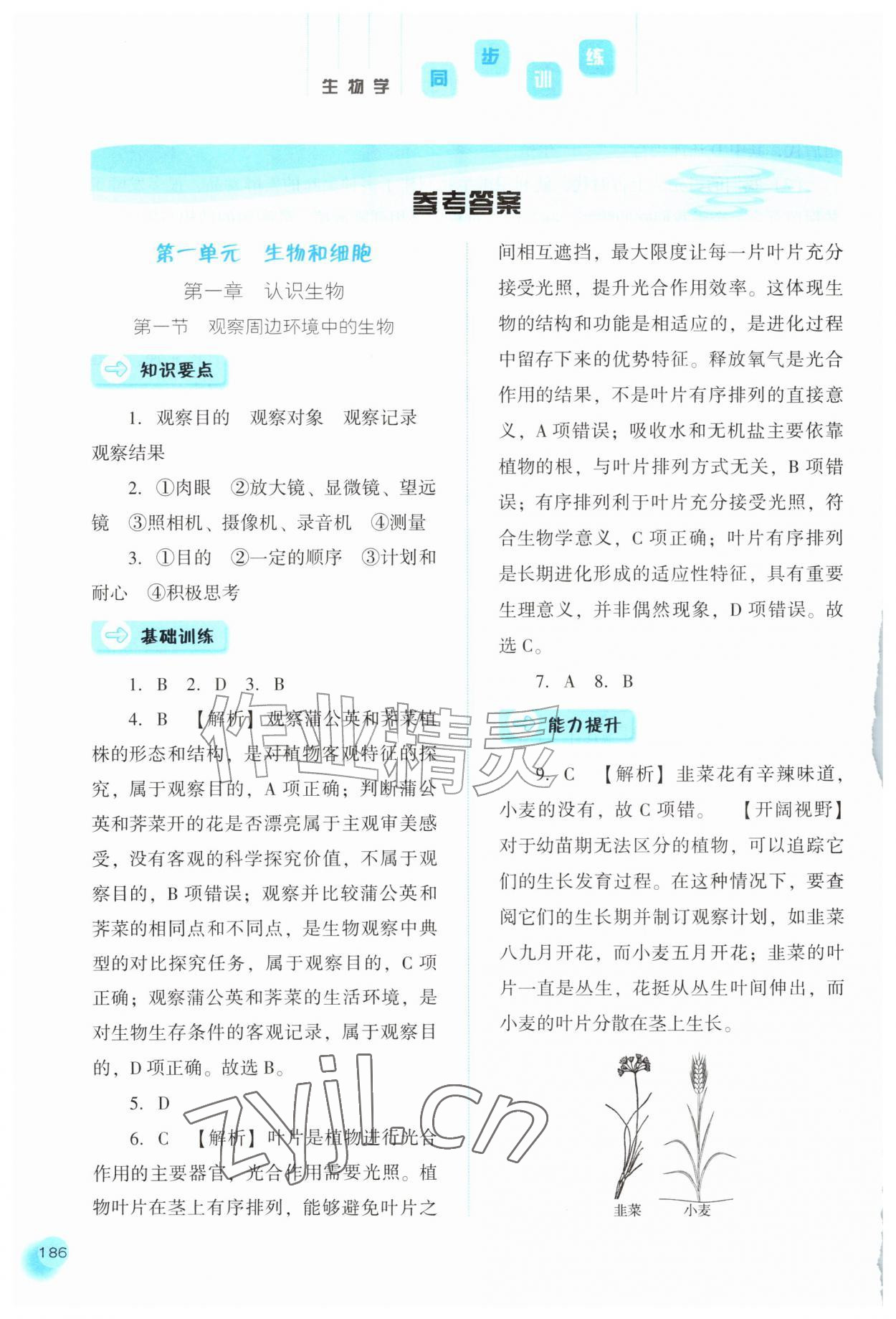 2026年同步训练河北人民出版社七年级生物上册人教版&nbsp;参考答案第1页