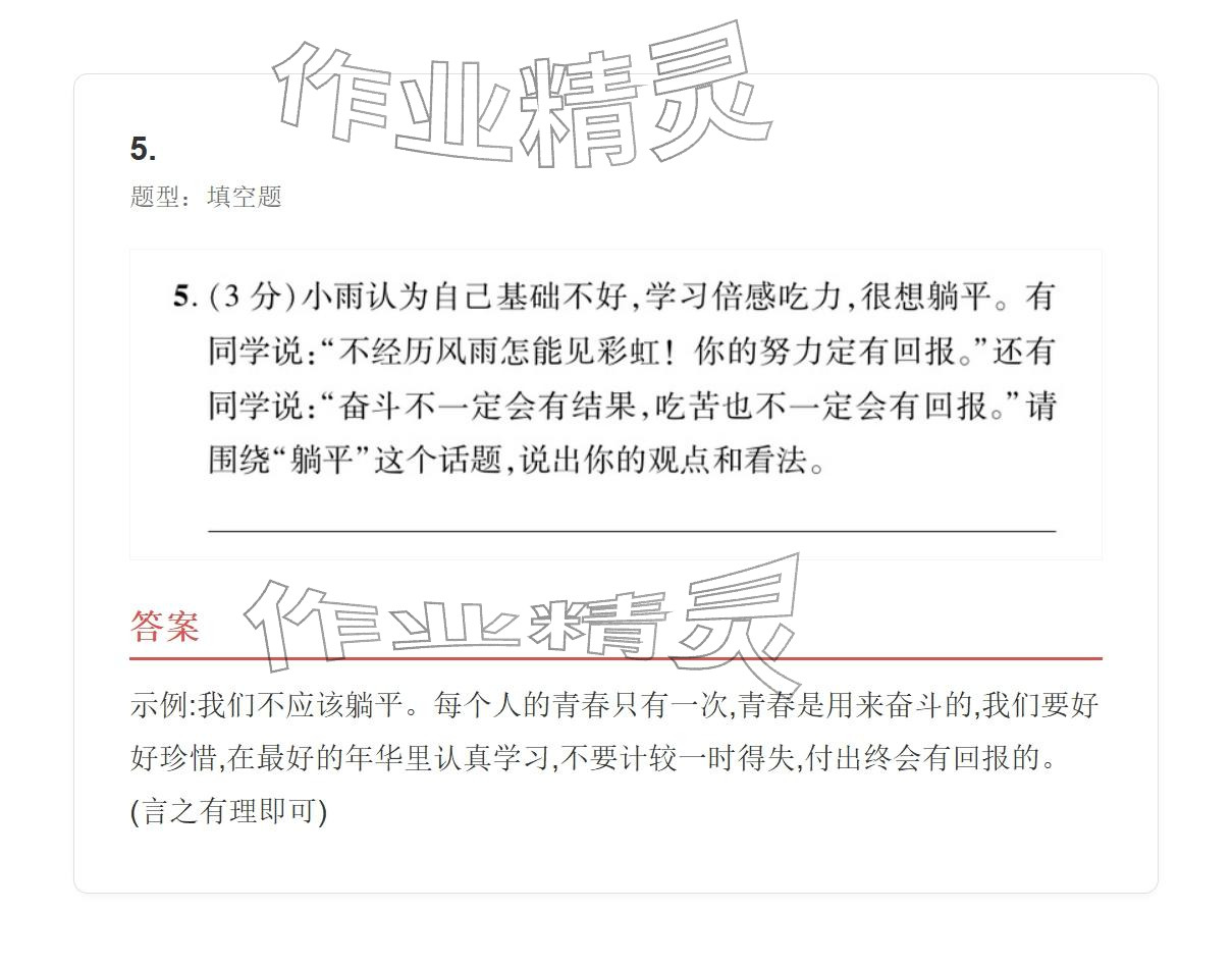 2025年学业水平评价九年级语文全一册人教版&nbsp;参考答案第17页