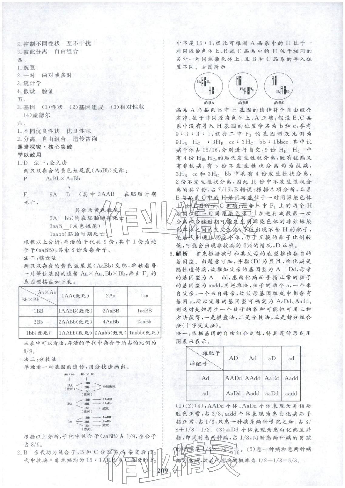 2025年维课金版高中生物必修第二册&nbsp;第4页