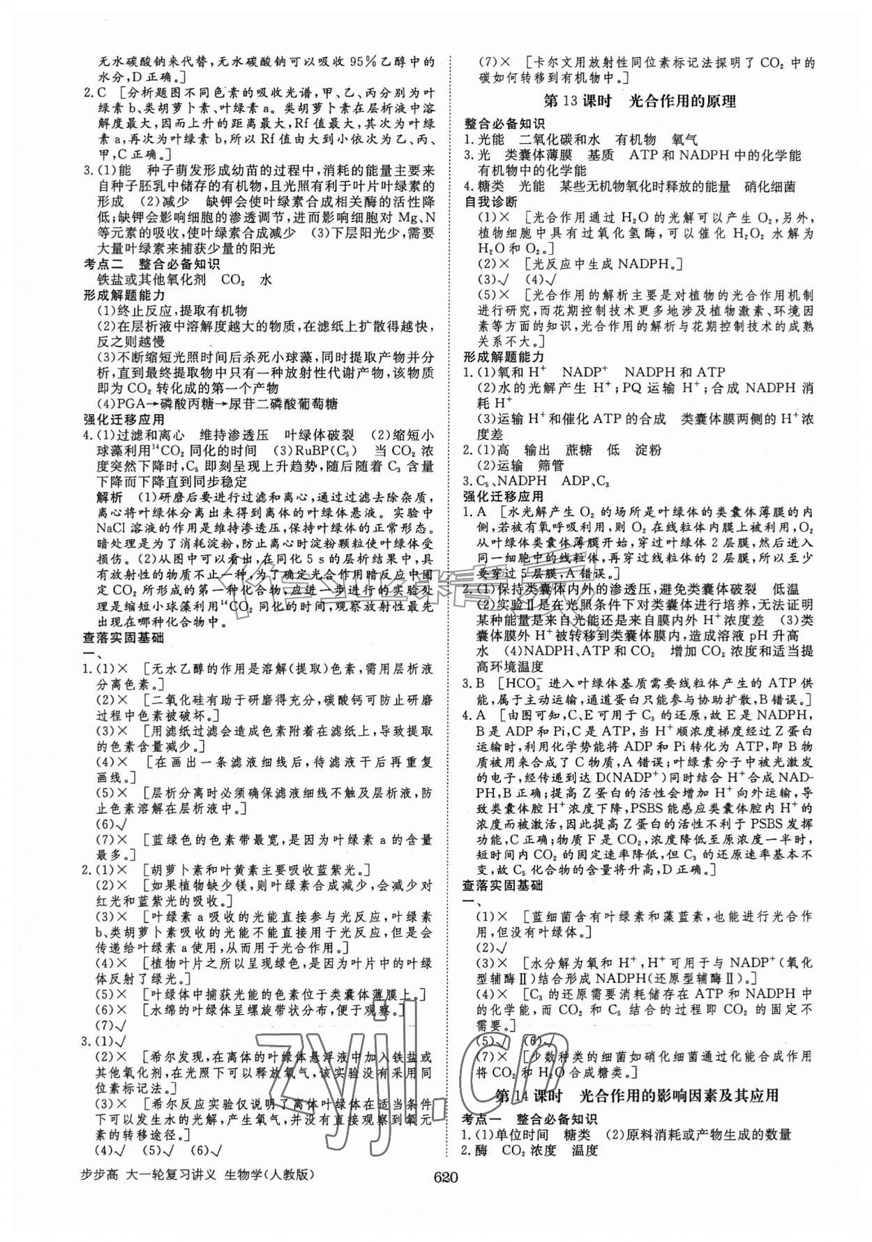 2026年步步高大一轮复习讲义高中生物人教版&nbsp;第12页
