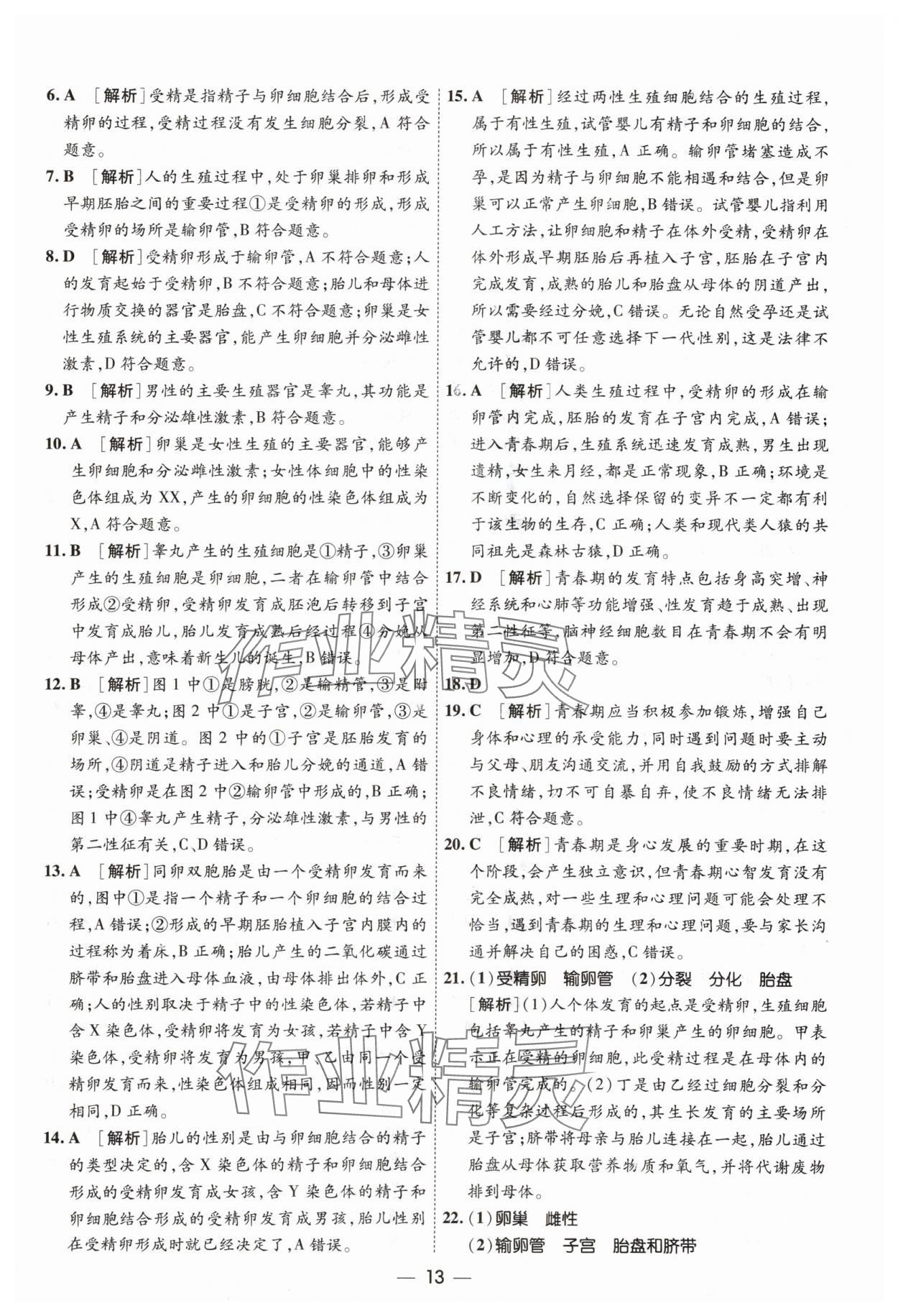 2024年中考123中考一轮总复习生物吉林专版&nbsp;参考答案第13页