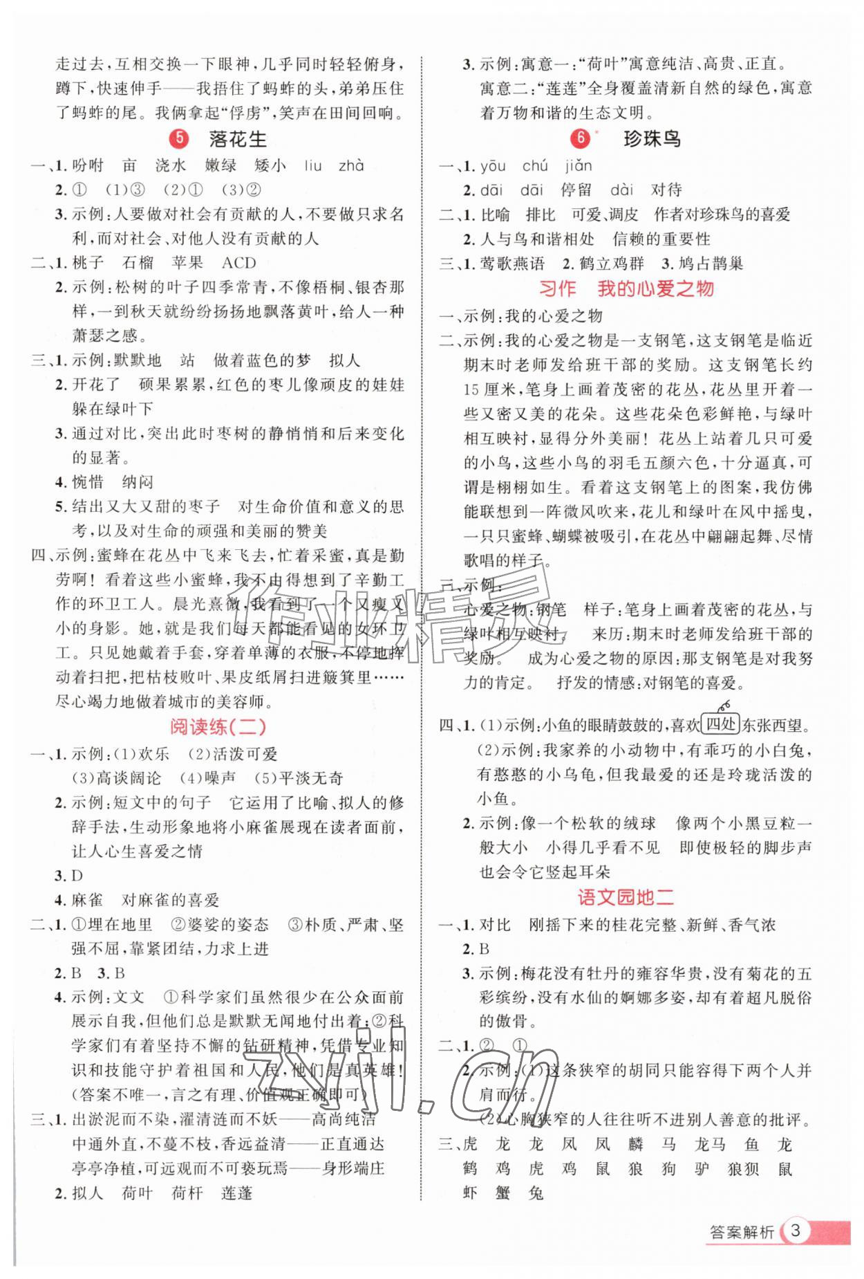 2026年细解巧练五年级语文上册人教版&nbsp;第3页