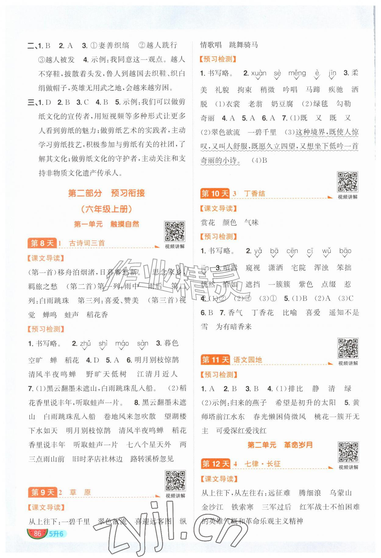 2026年阳光同学暑假衔接五升六语文人教版&nbsp;参考答案第3页