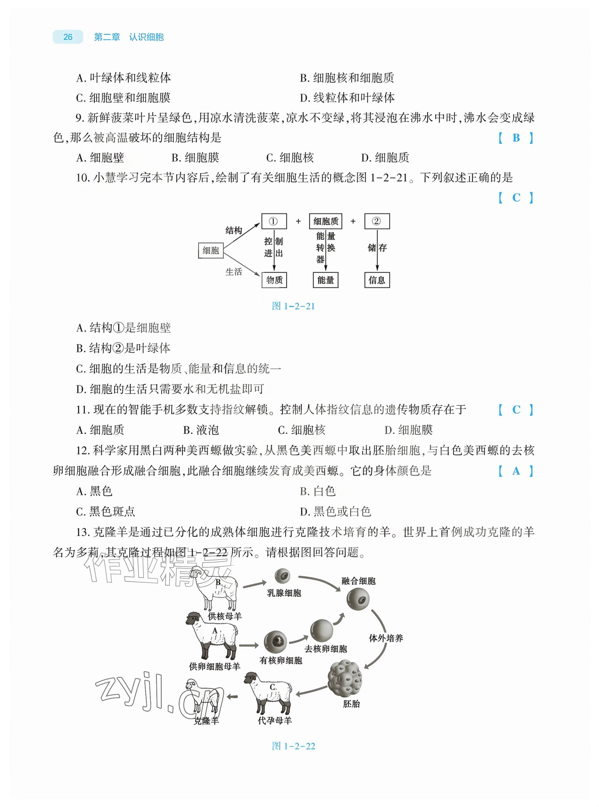 2026年基础训练大象出版社七年级生物上册人教版&nbsp;参考答案第26页