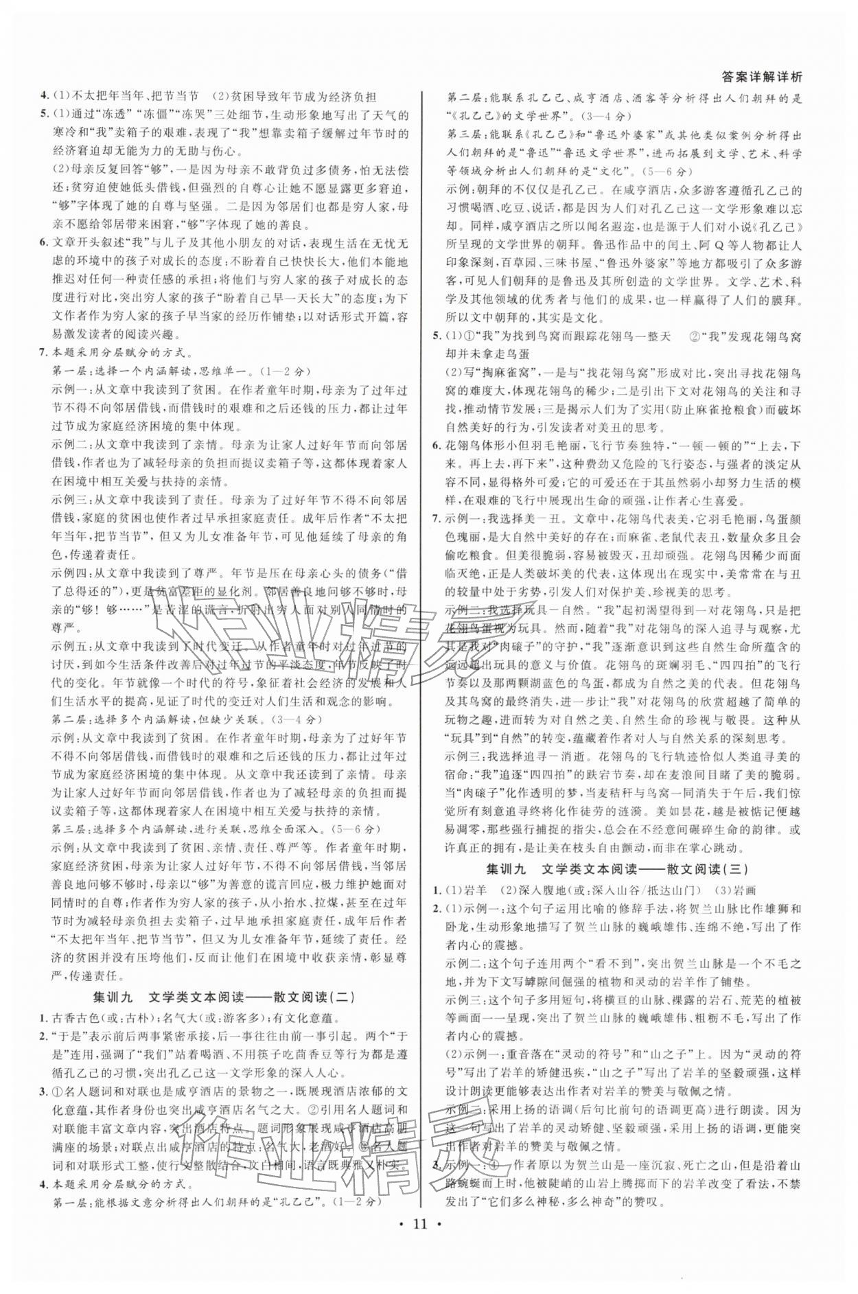 2026年浙派名师中考方略分类集训语文人教&nbsp;参考答案第10页