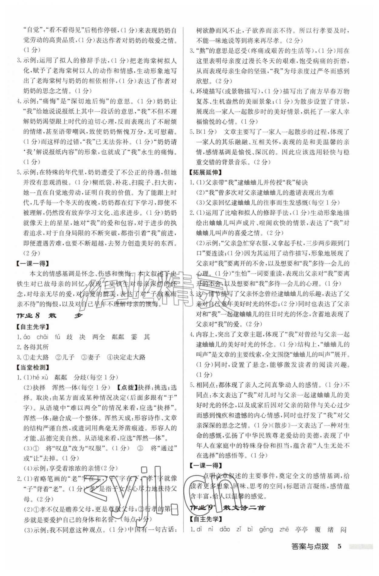 2026年启东中学作业本七年级语文上册人教版盐城专版&nbsp;参考答案第5页