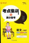 2024年考點(diǎn)集訓(xùn)與滿分備考二年級(jí)語文下冊(cè)人教版