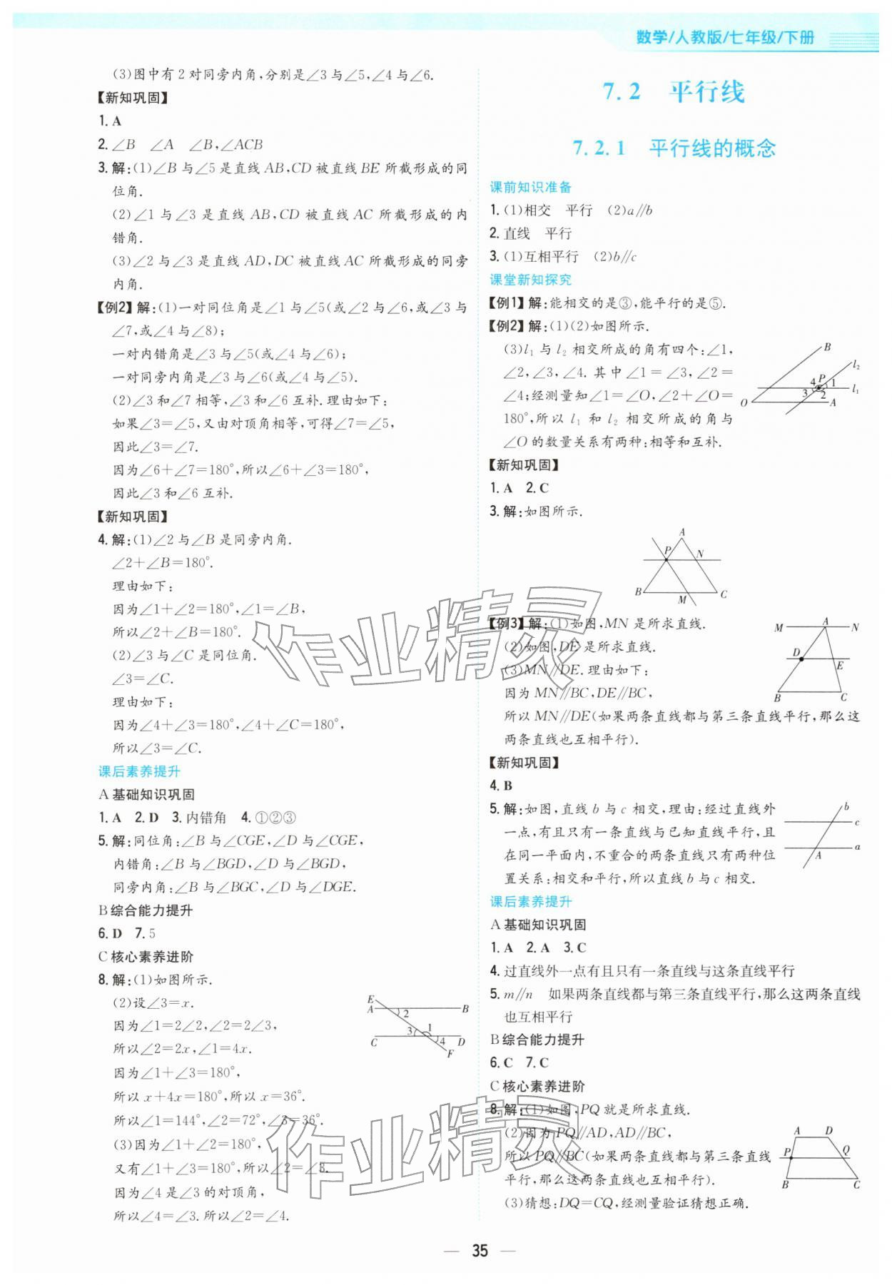 2026年新编基础训练七年级数学下册人教版&nbsp;第3页