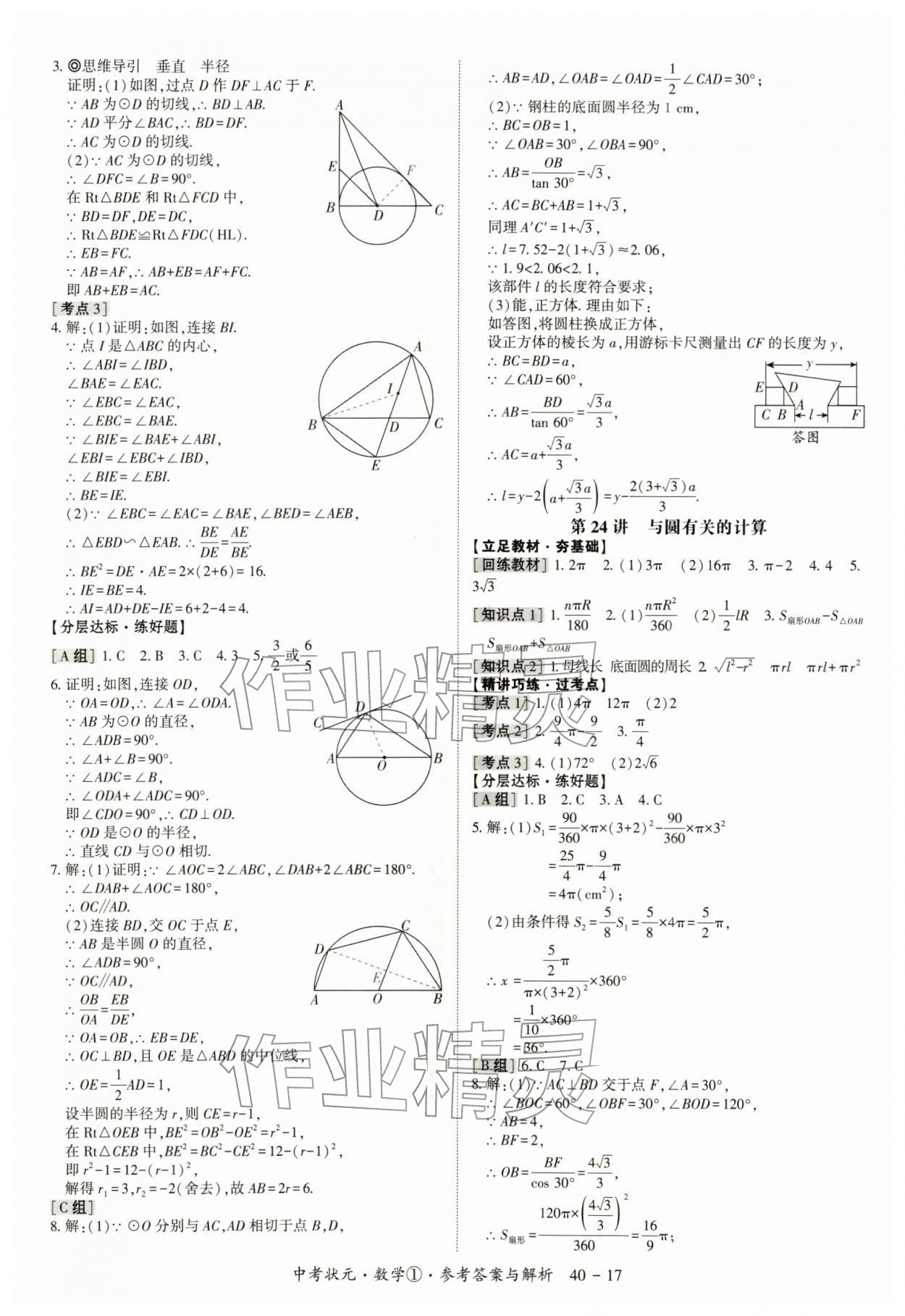 2026年中考状元数学&nbsp;第17页