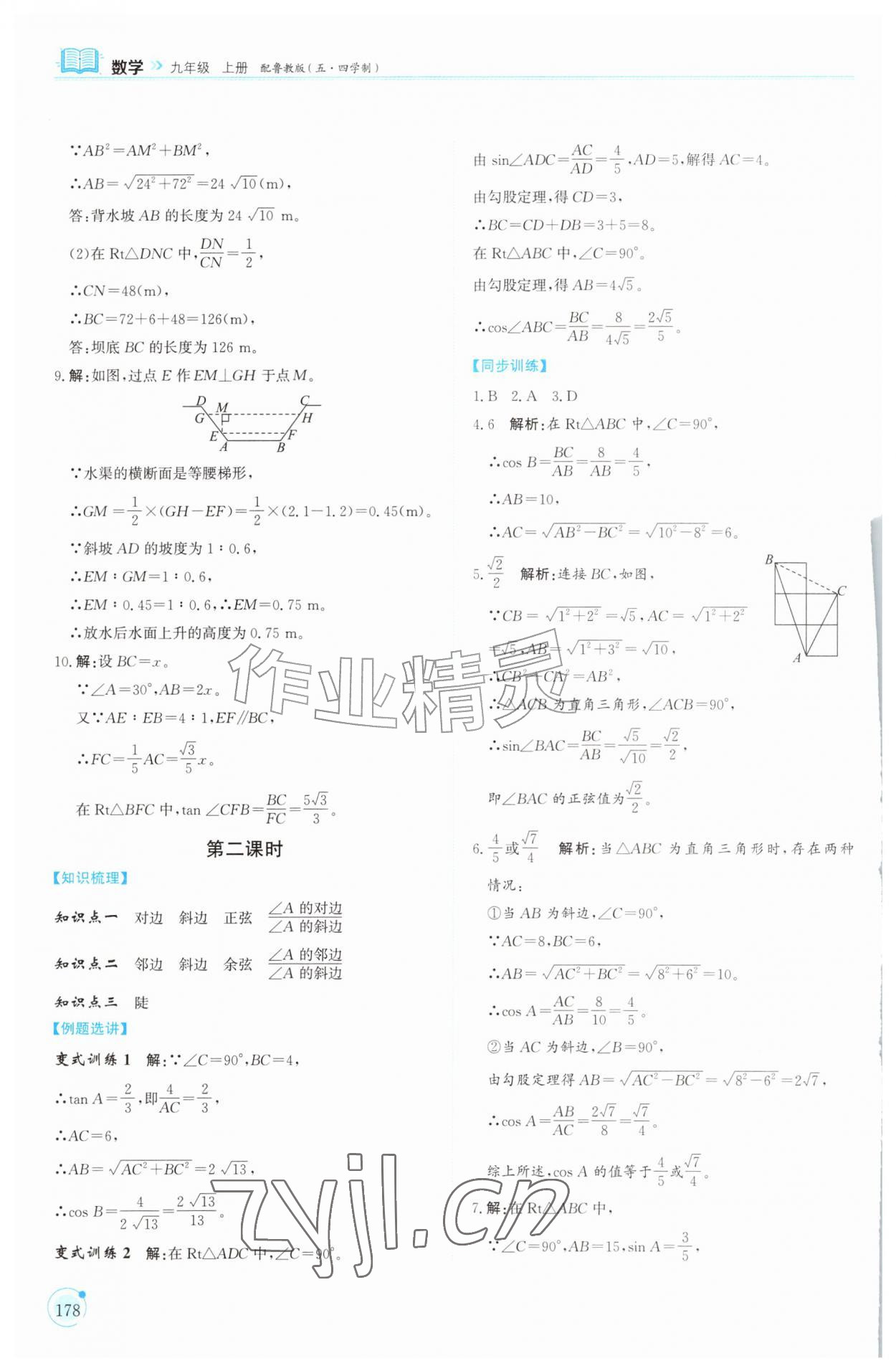 2026年同步练习册山东科学技术出版社九年级数学上册鲁教版五四制&nbsp;第2页