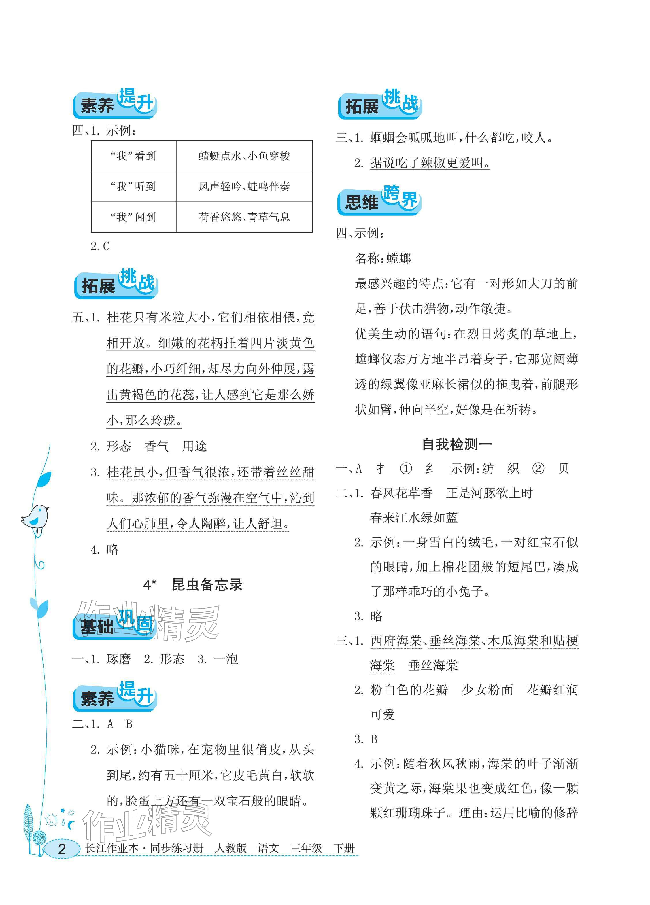 2026年长江作业本同步练习册三年级语文下册人教版&nbsp;参考答案第2页