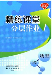 精练课堂分层作业九年级物理人教版
