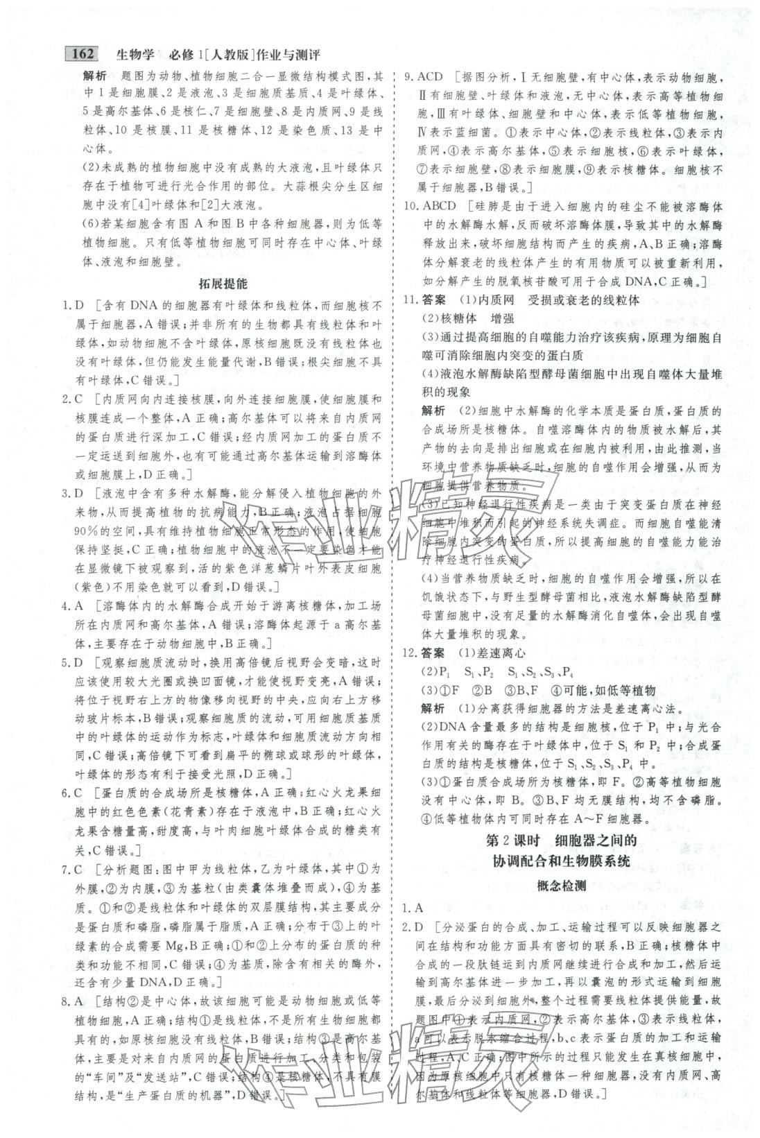 2025年金版教程作业与测评高中新课程学习高中生物必修第一册人教版&nbsp;第14页