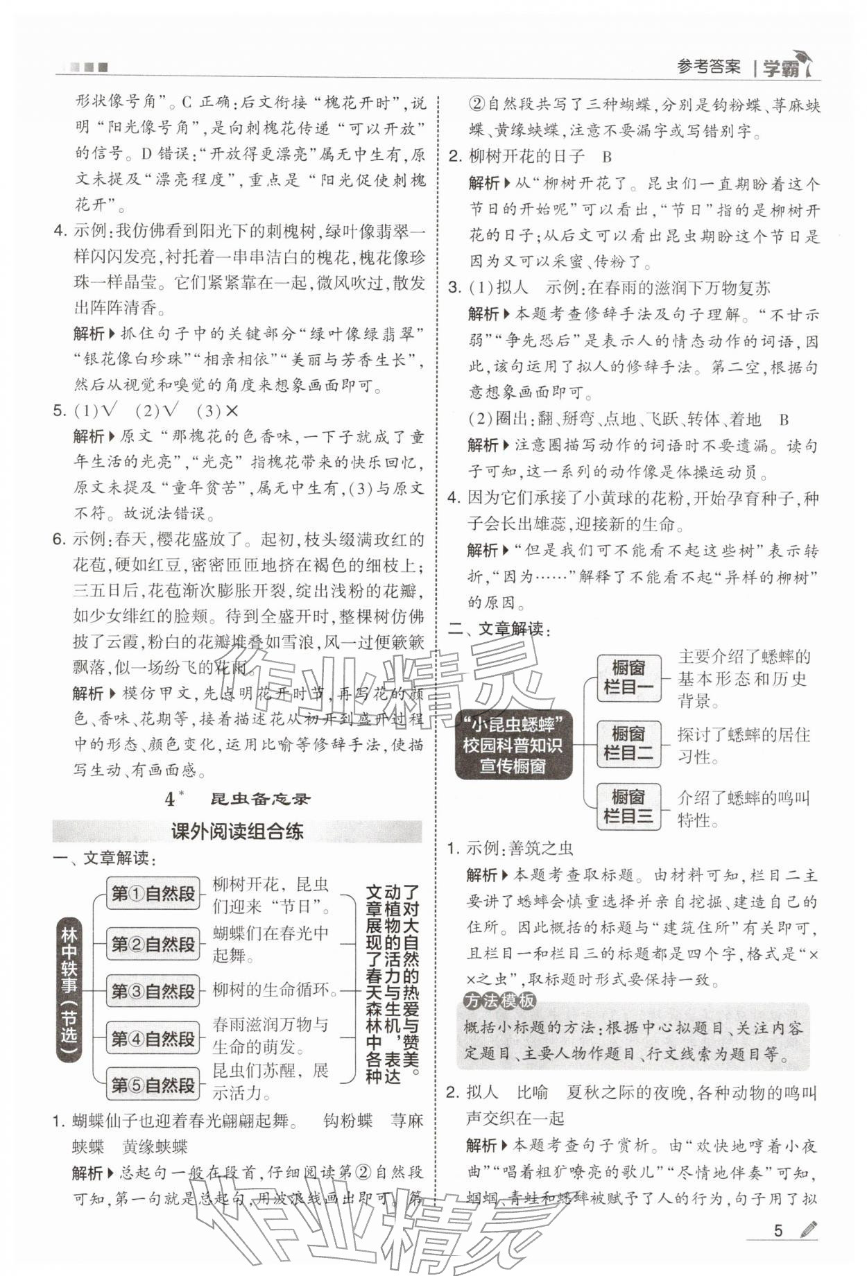 2026年学霸三年级语文下册人教版&nbsp;参考答案第5页