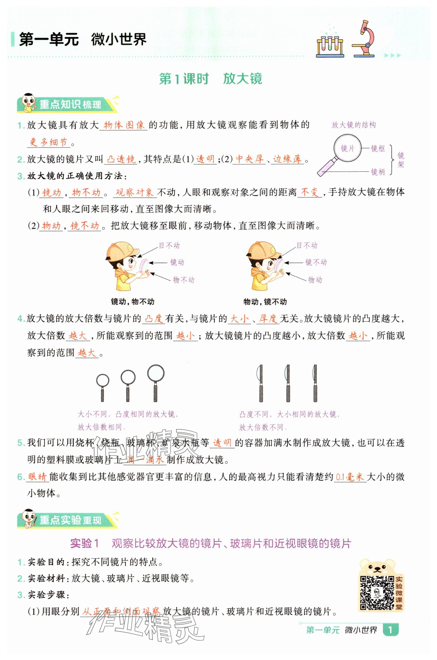 2025年综合应用创新题典中点六年级科学上册教科版&nbsp;参考答案第15页