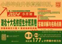 2024年小學畢業升學真題詳解六年級綜合