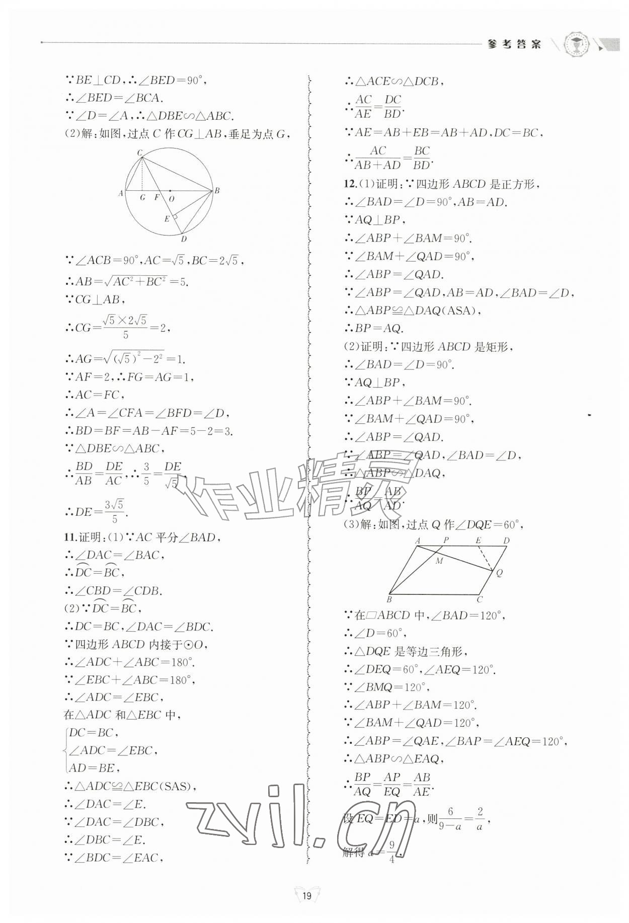2026年重点中学与你有约九年级数学全一册浙教版&nbsp;参考答案第19页