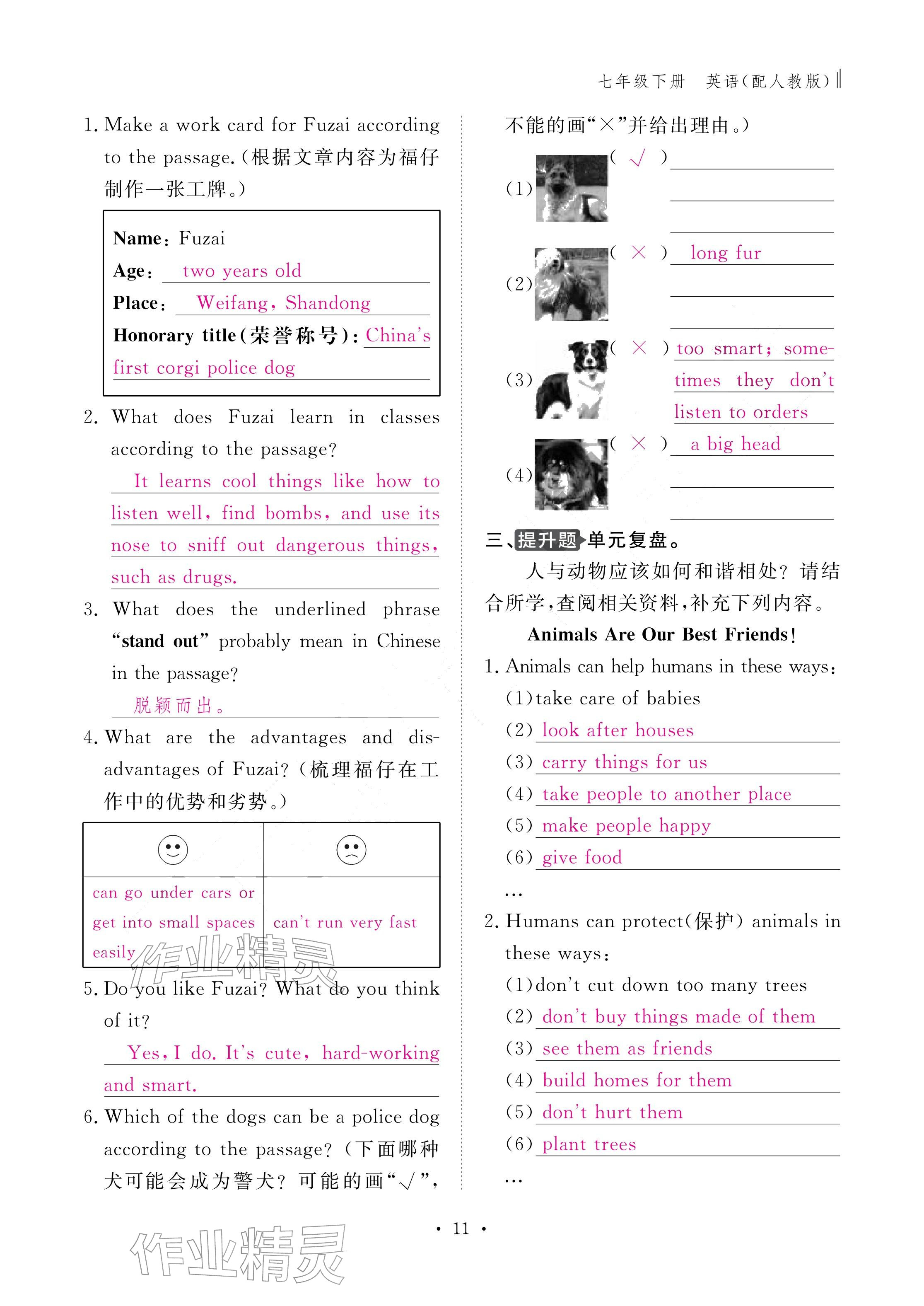 2026年作业本江西教育出版社七年级英语下册人教版&nbsp;参考答案第11页