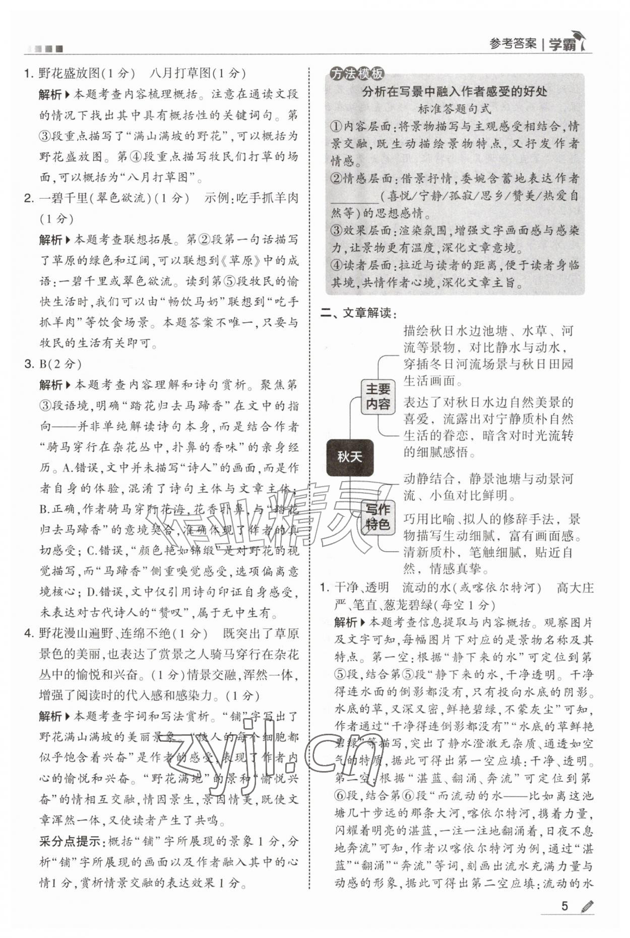 2026年经纶学典5星学霸六年级语文上册人教版&nbsp;第5页
