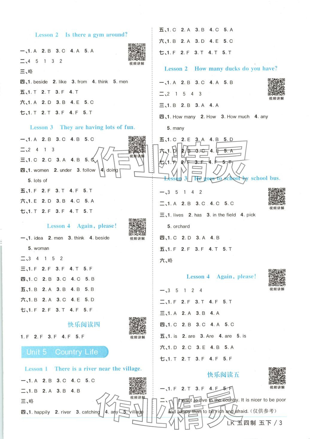 2025年阳光同学课时优化作业五年级英语下册鲁科版五四制&nbsp;第3页